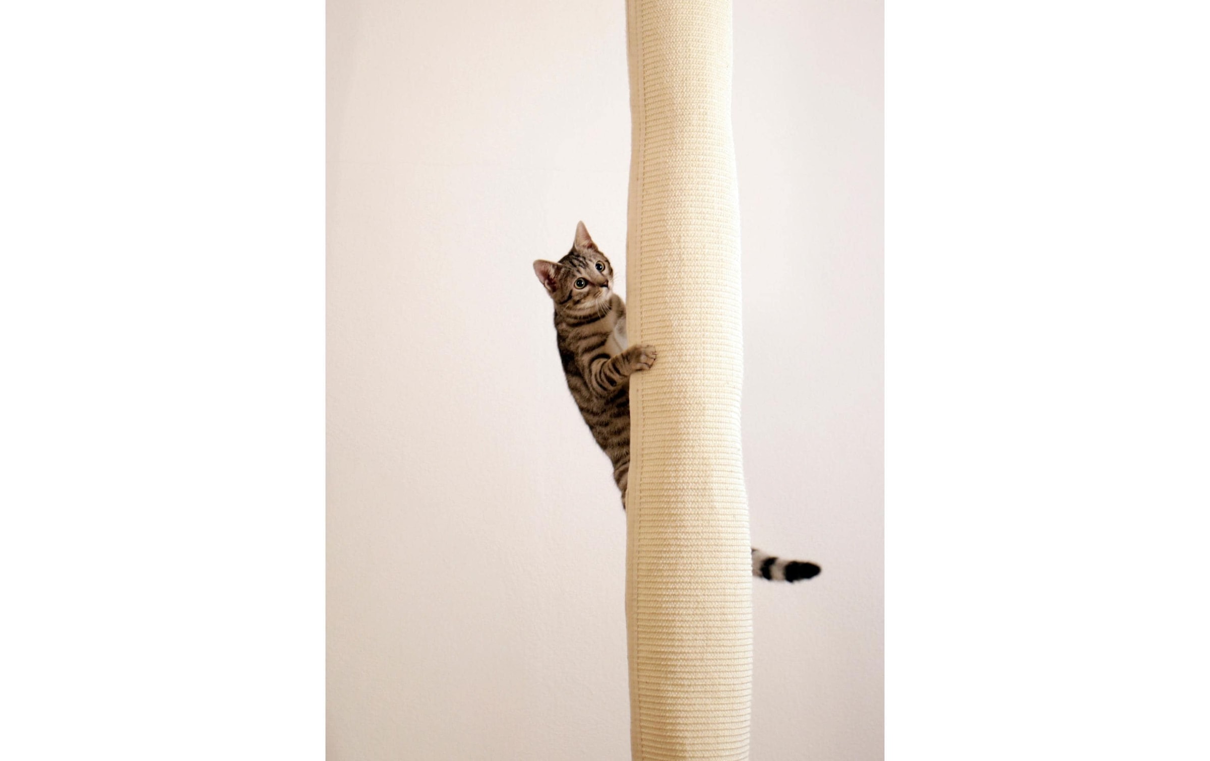 Kerbl Kratzbaum »Climber 16 cm x 16 cm x 240 cm« 240 cm hoch