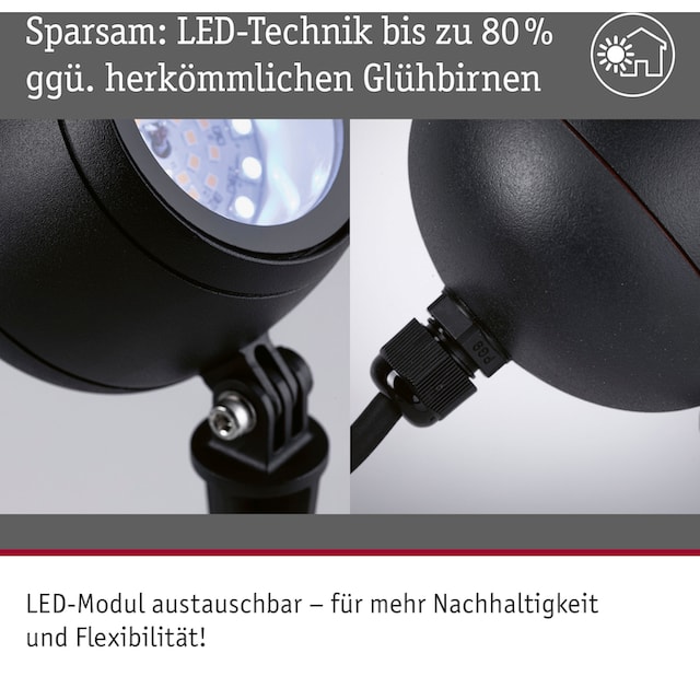 Paulmann LED Gartenleuchte »Outdoor 230V Spot Kikolo RGBW ZigBee«, 1  flammig-flammig, ZigBee RGBW online bestellen