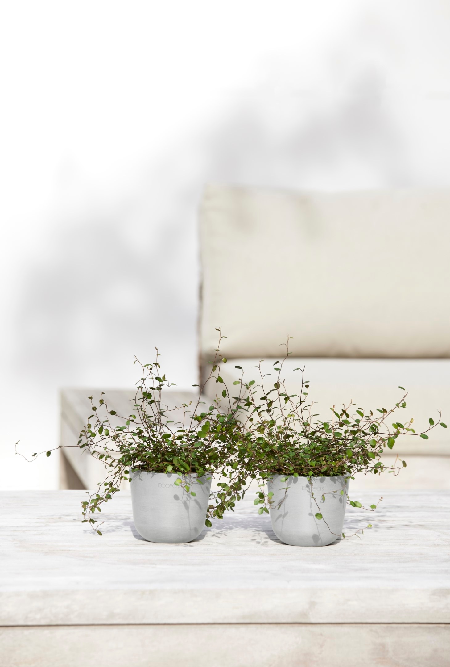 ECOPOTS Blumentopf »Oslo Mini 11,5 Weißgrau« für den Innenbereich