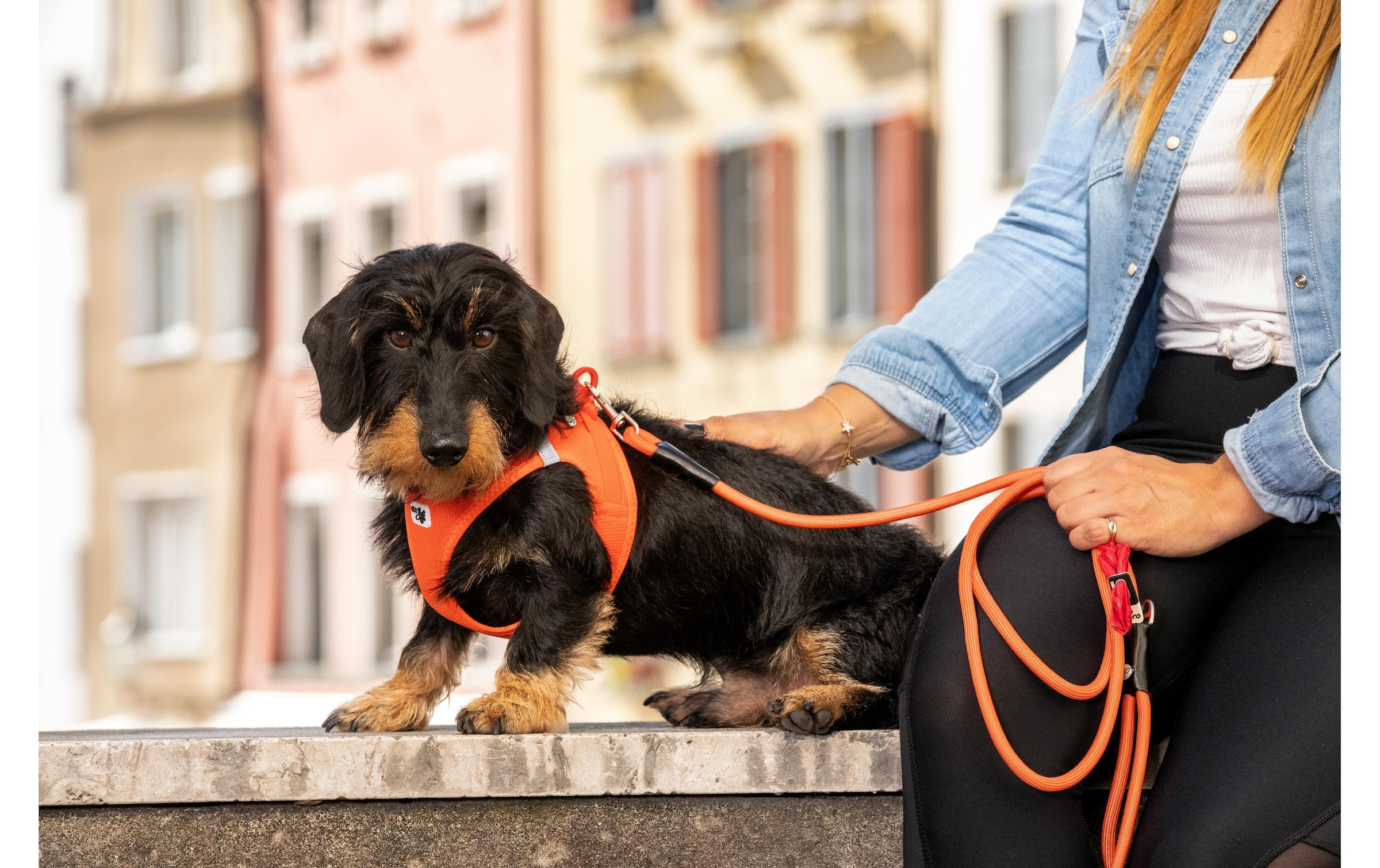 Curli Hunde-Geschirr »Vest Air-Mesh M« Polyester Hunderasse: Teckel