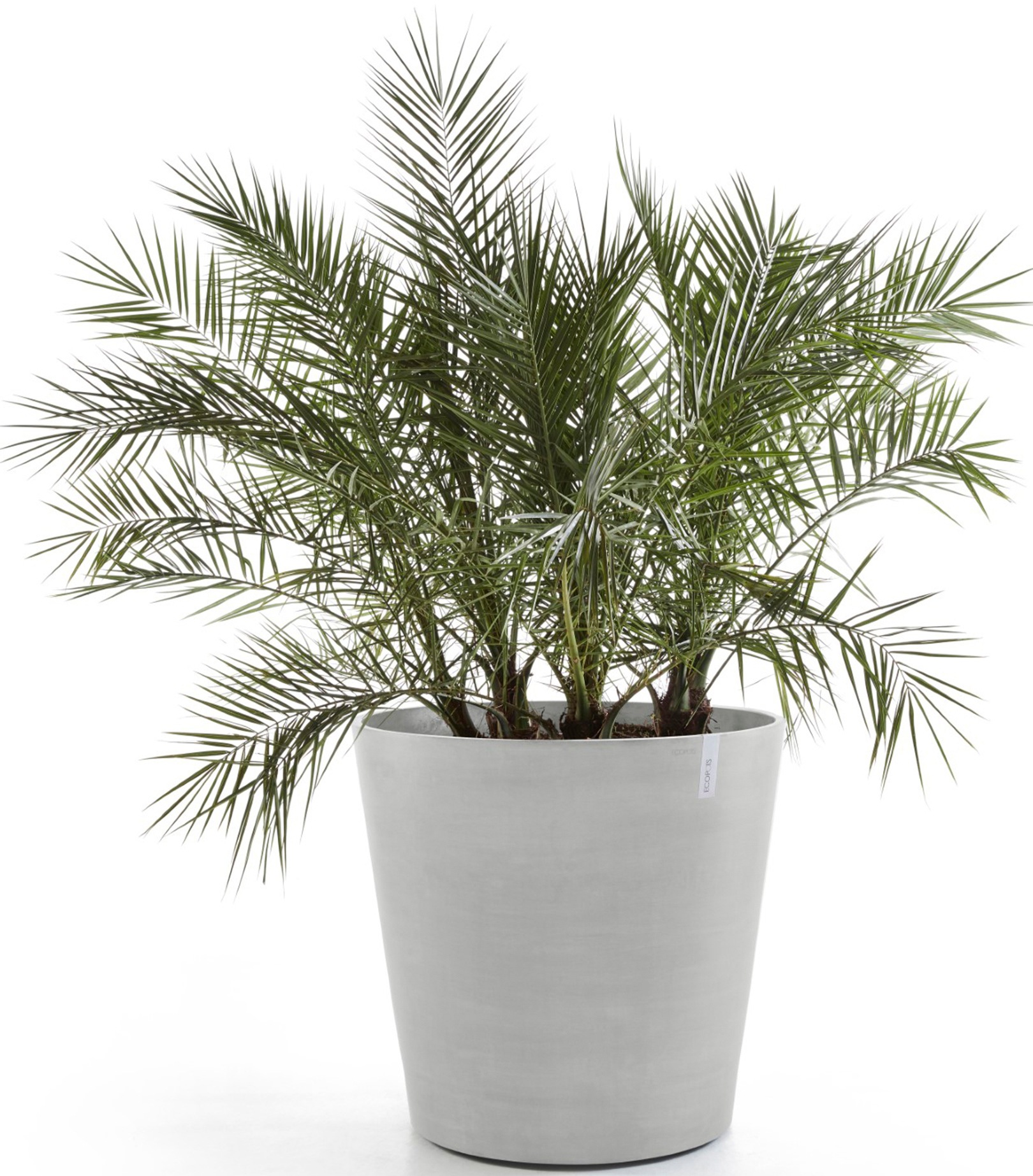 ECOPOTS Blumentopf »Amsterdam mit Rollen 100 Weißgrau«, für innen und außen: frostsicher, bruchsicher und lichtbeständig