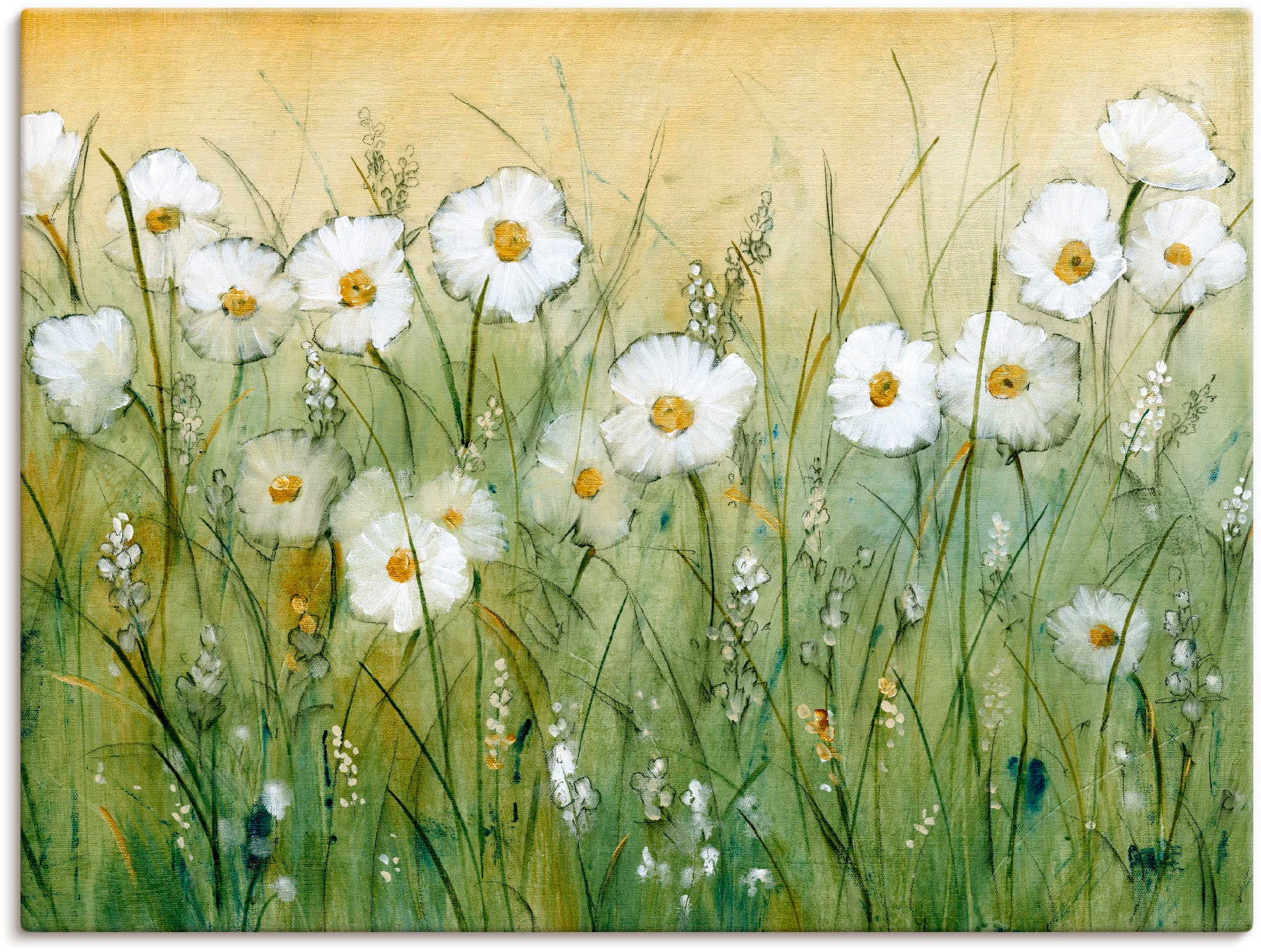 Artland Wandbild »Gänseblümchenfrühling II« Blumen 1 Stk. tlg. als Alubild, günstig online kaufen