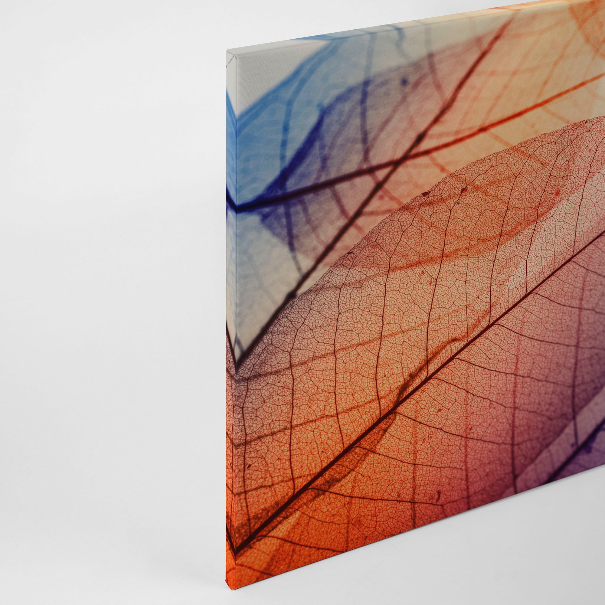 A.S. Création Leinwandbild »Limpid Leaf«, Kunst-Natur-Kinder, (1 St.), Keilrahmen Moderne Blätter Bunt Leinwand-Bild Wohnzimmer modern Kinder
