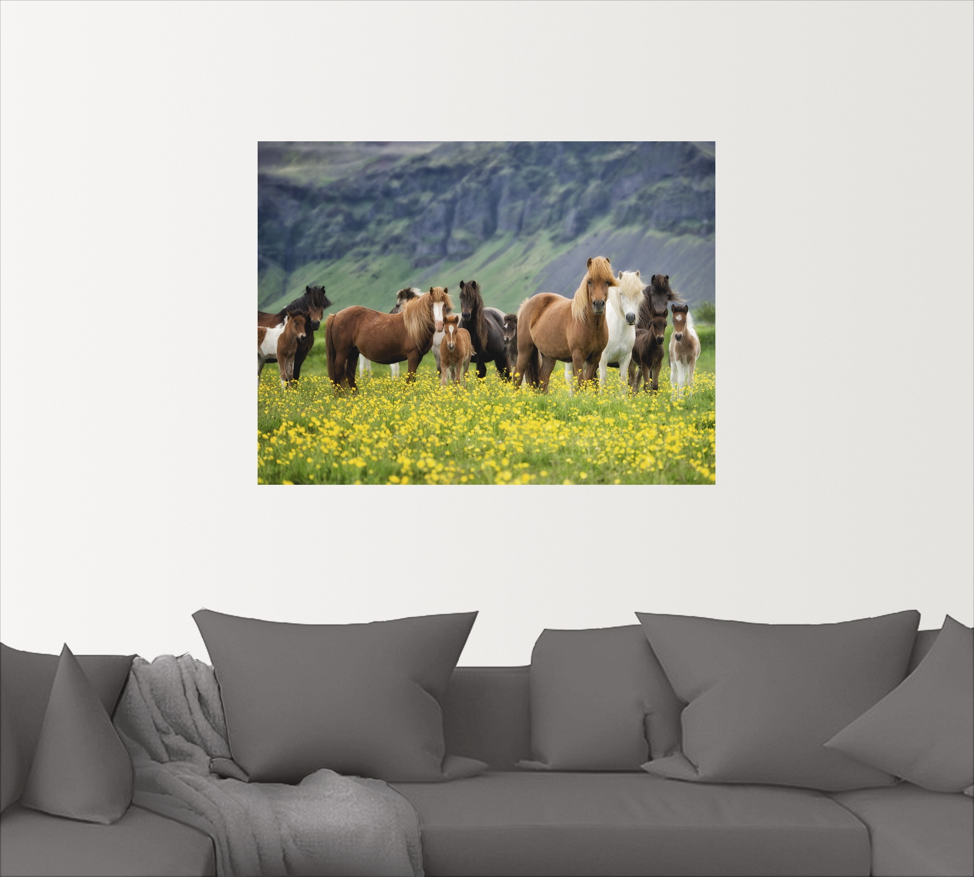 Artland Wandbild »Isländische Pferde VII«, Haustiere, (1 St.), als Leinwand günstig online kaufen