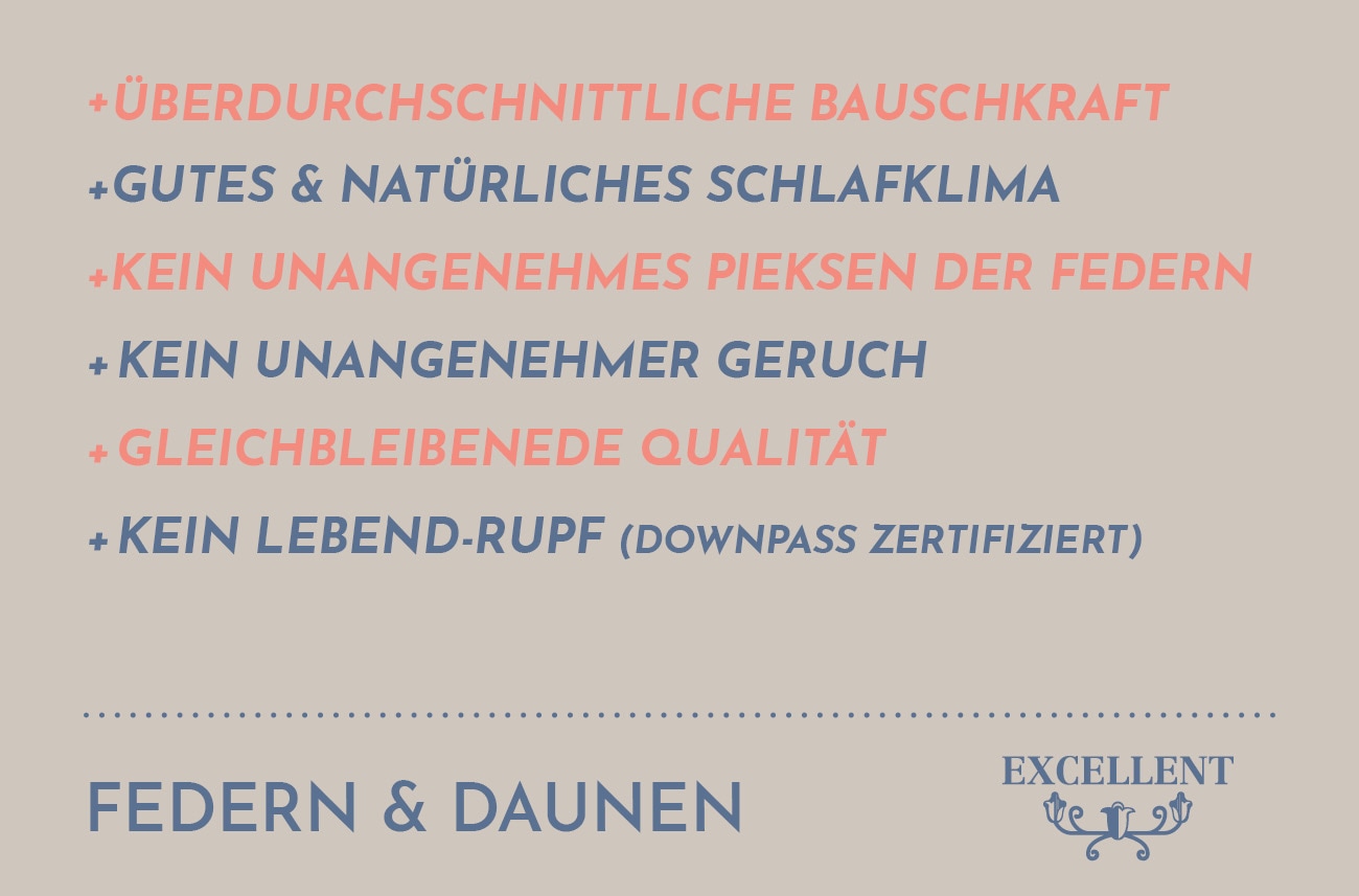 Excellent 3-Kammer-Kopfkissen »Wien«, Füllung: 60% Daunen / 40% Federn (Außenkammern) und 100% Federn (Innenkammer), Bezug: 100% Baumwolle, (1 St.)