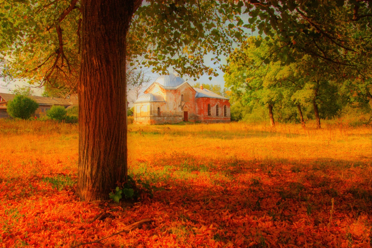 Papermoon Fototapete »Herbstlandschaft« günstig online kaufen