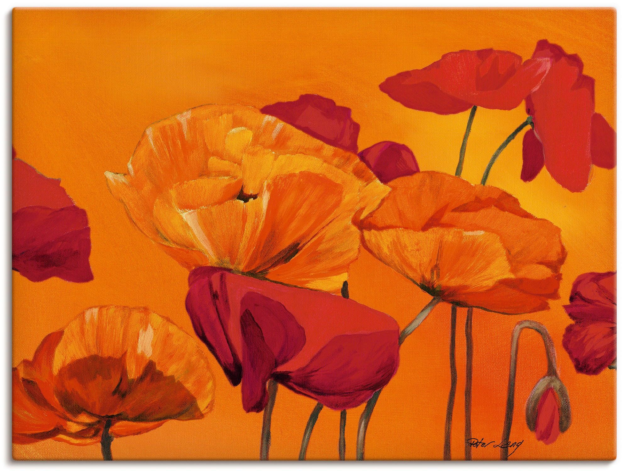 Artland Wandbild »Mohnblume« Blumen 1 Stk. tlg. als Leinwandbild, Poster in günstig online kaufen