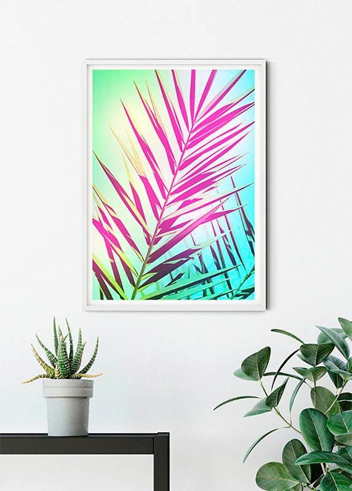 Komar Bild »Shine«, Pflanzen-Blätter, (1 St.), Wandbild zur Dekoration - ohne Rahmen