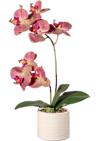 Kunstorchidee »Orchidee Phalaenopsis in Keramiktopf«