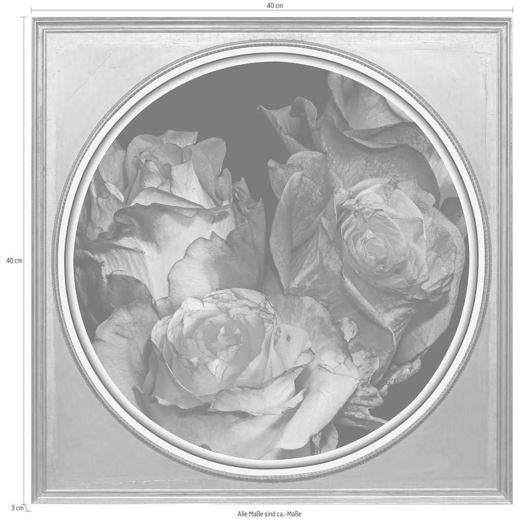 queence Acrylglasbild »Getrocknete Rosen«