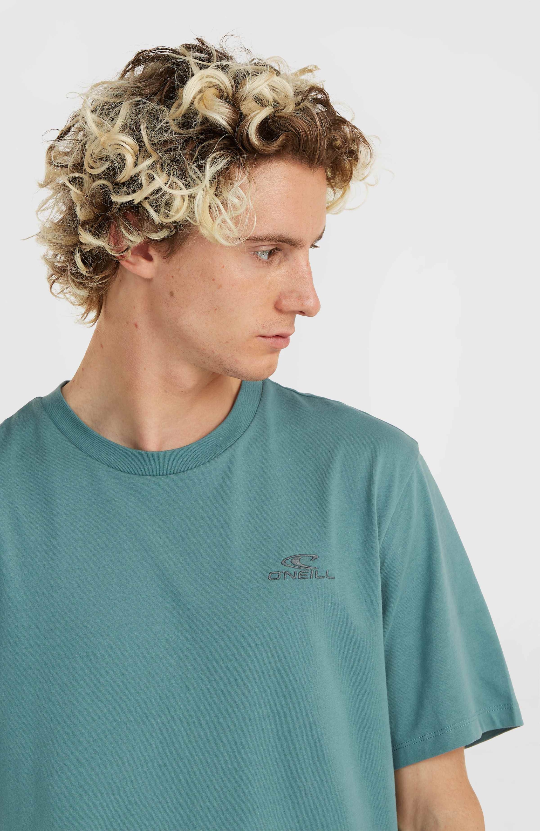 O'Neill T-Shirt »O'NEILL SMALL LOGO T-SHIRT«