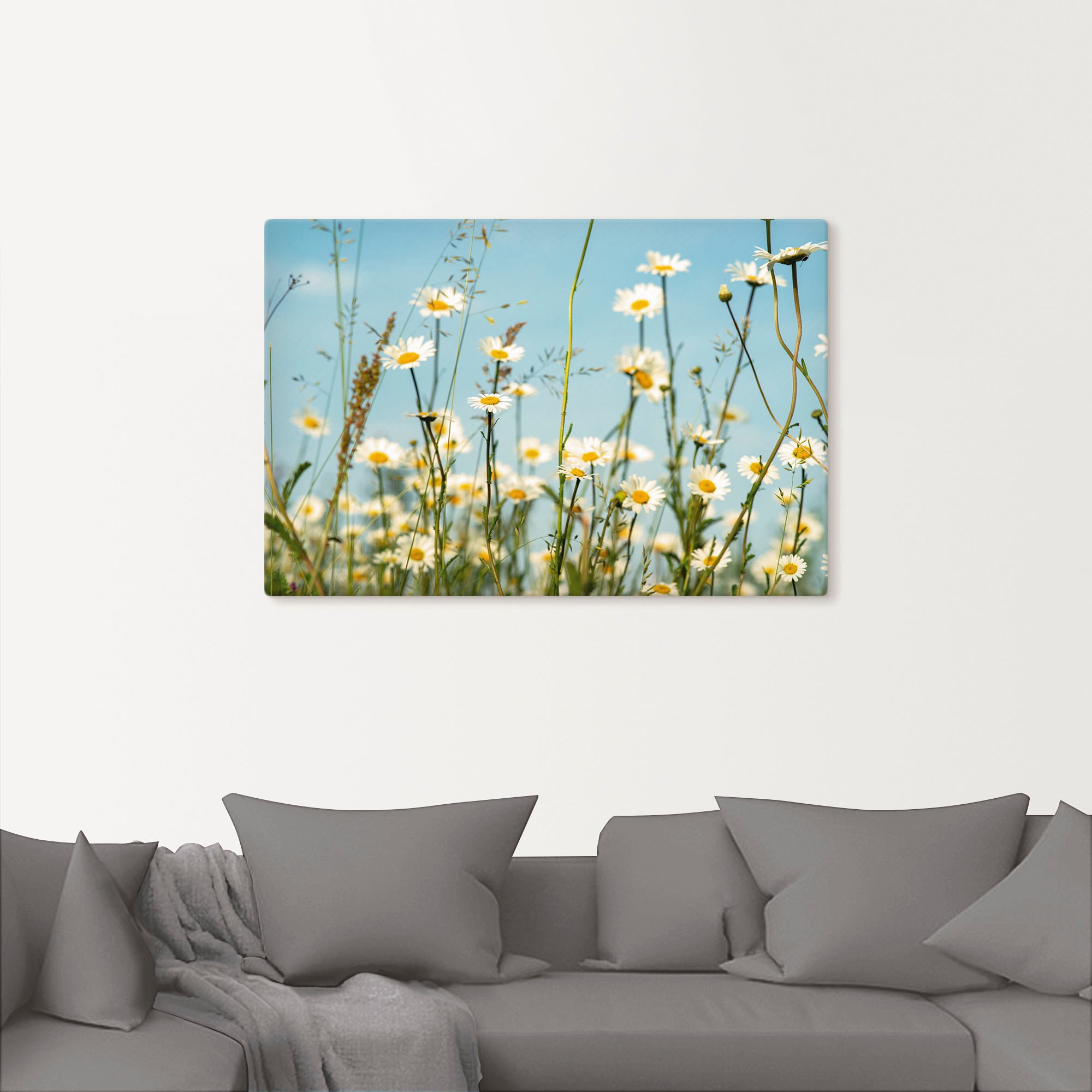 Artland Leinwandbild »Margeriten vor Sommer Himmel« Blumenbilder 1 Stk. tlg günstig online kaufen