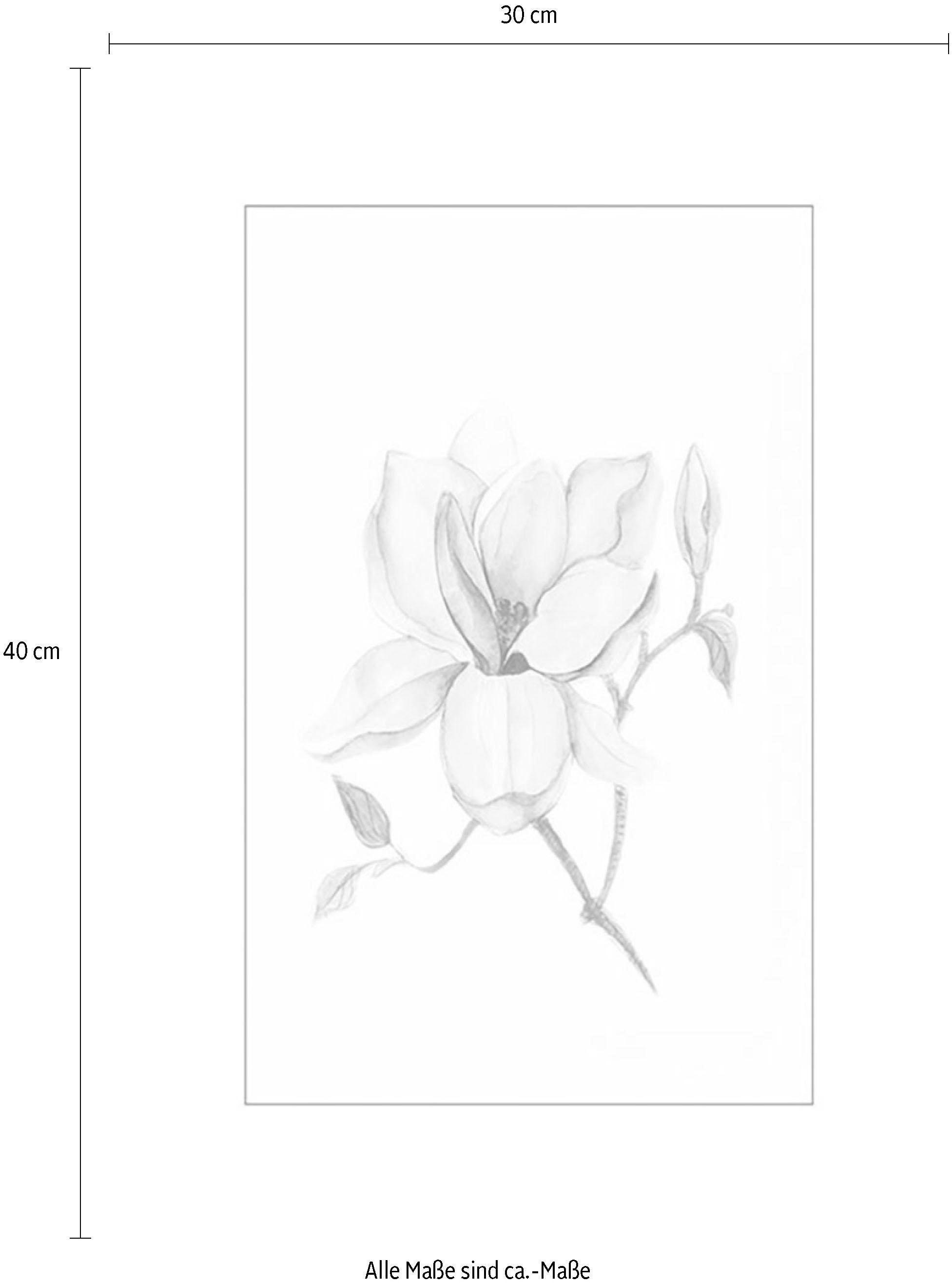 Komar Bild »Magnolia Shine«, Pflanzen-Blätter, (1 St.), Wandbild zur Dekoration - ohne Rahmen