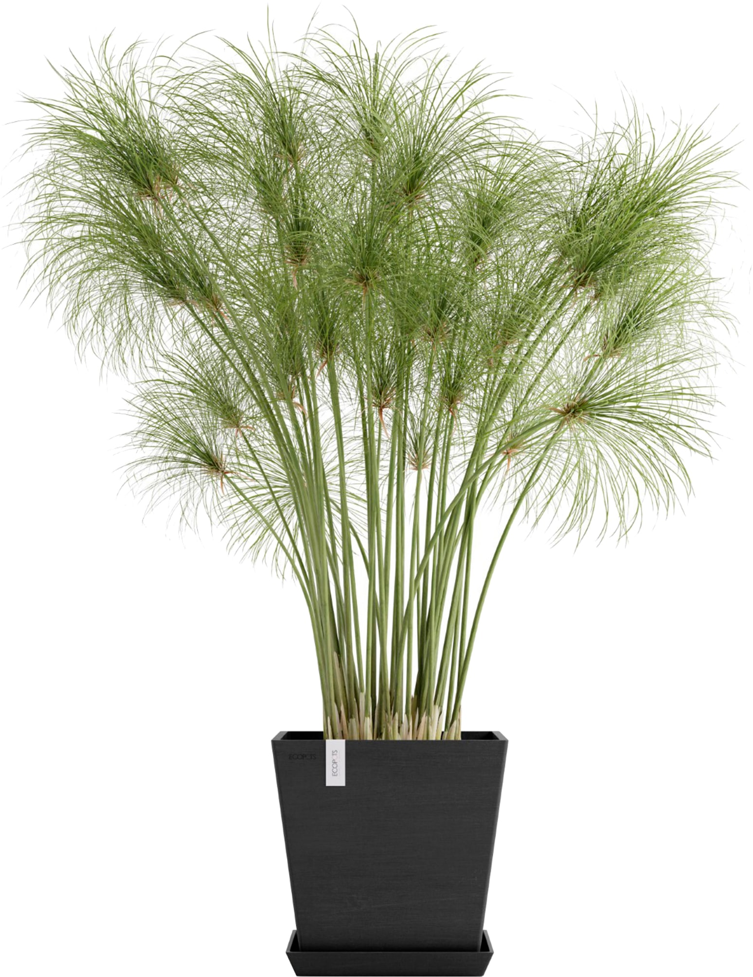 ECOPOTS Blumentopf »Rotterdam 25 + Wassersystem Dunkelgrau« für innen und außen: frostsicher, bruchsicher und lichtbeständig