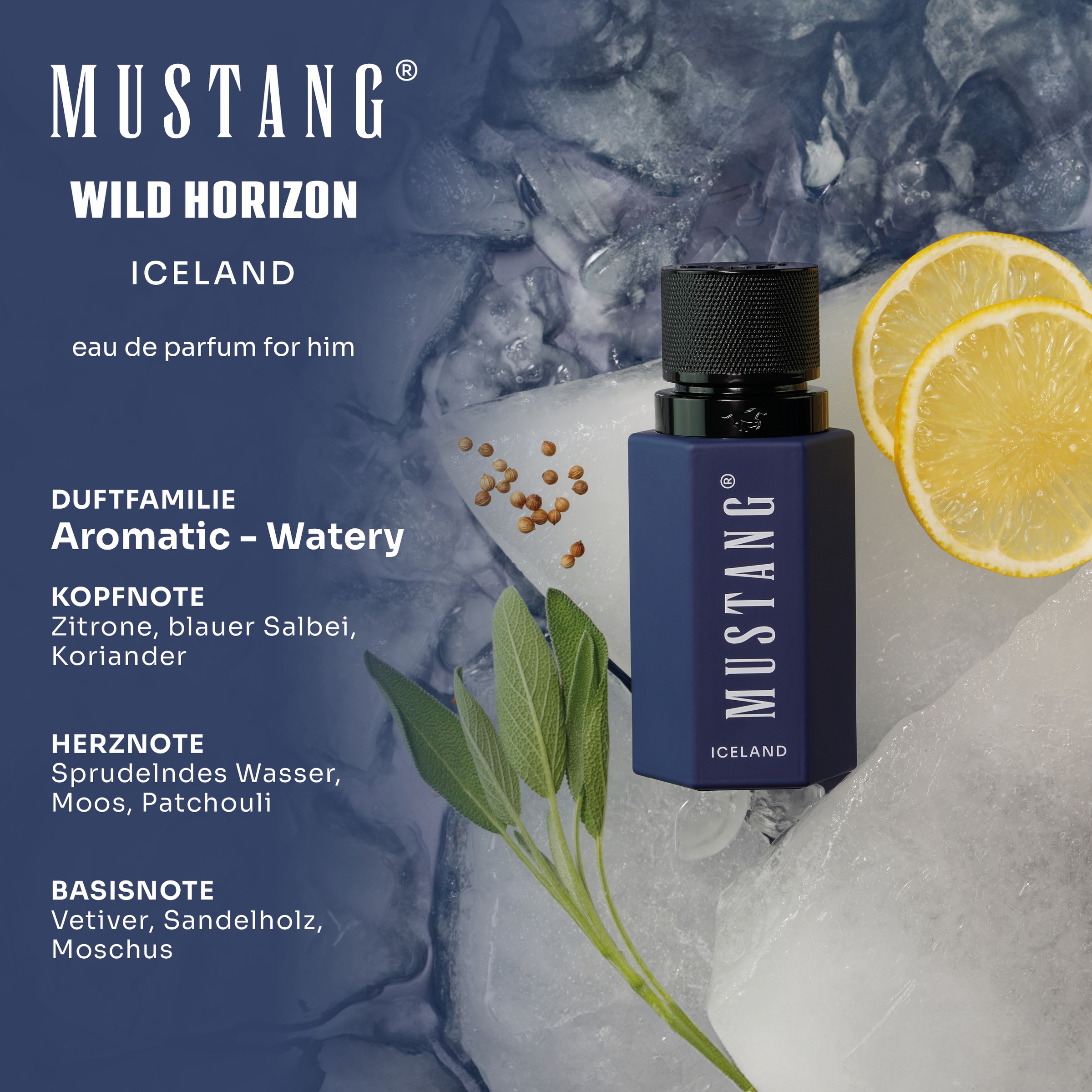 MUSTANG Eau de Parfum »WILD HORIZON ICELAND FOR HIM EDP« 50ml