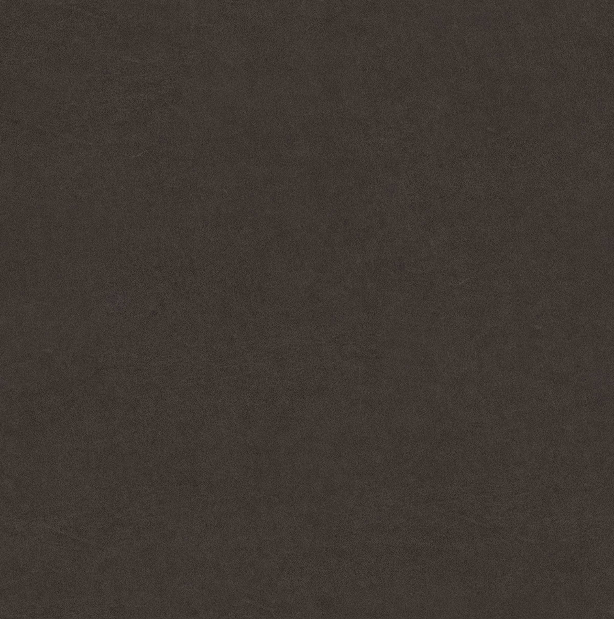 Birkenstock Polsterbett »Canberra Advance«, mit Kopfteil in Sattelleder, Holzfüße in Eiche natur mit Knochenmuster