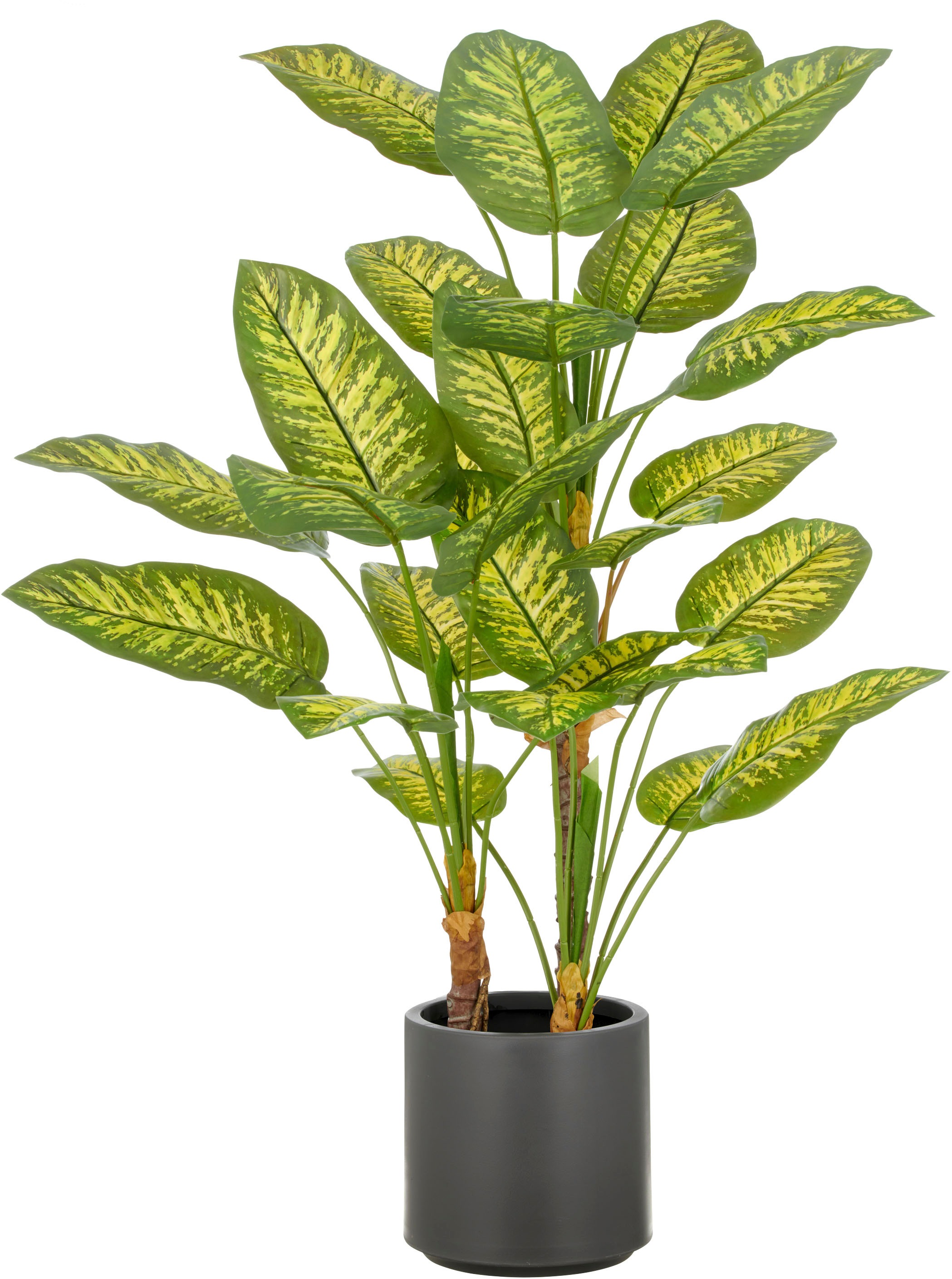 Creativ green Kunstpflanze »Dieffenbachia« mit naturgetreuer Gestaltung günstig online kaufen