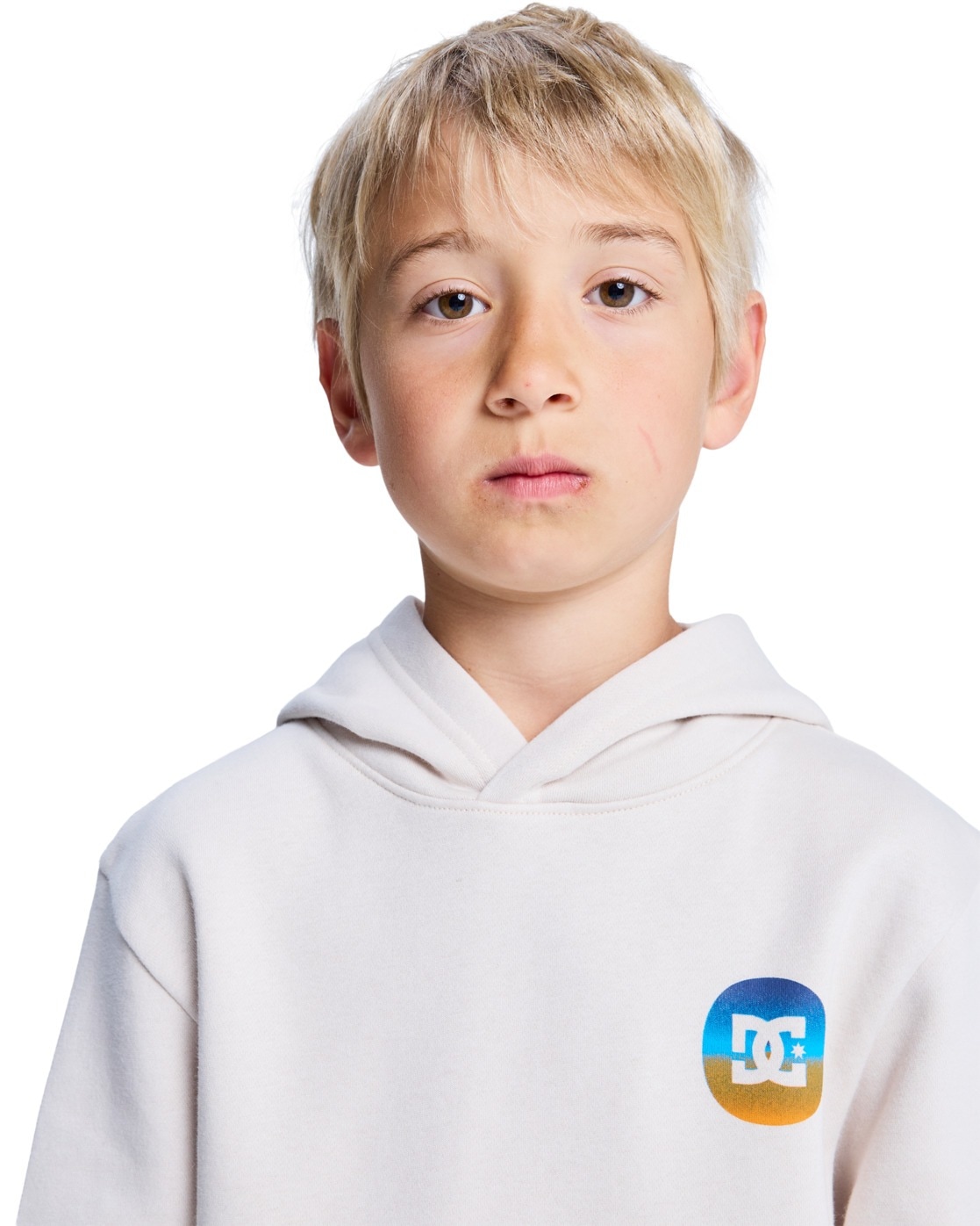 DC Shoes Hoodie »Shape Or Destroy«
