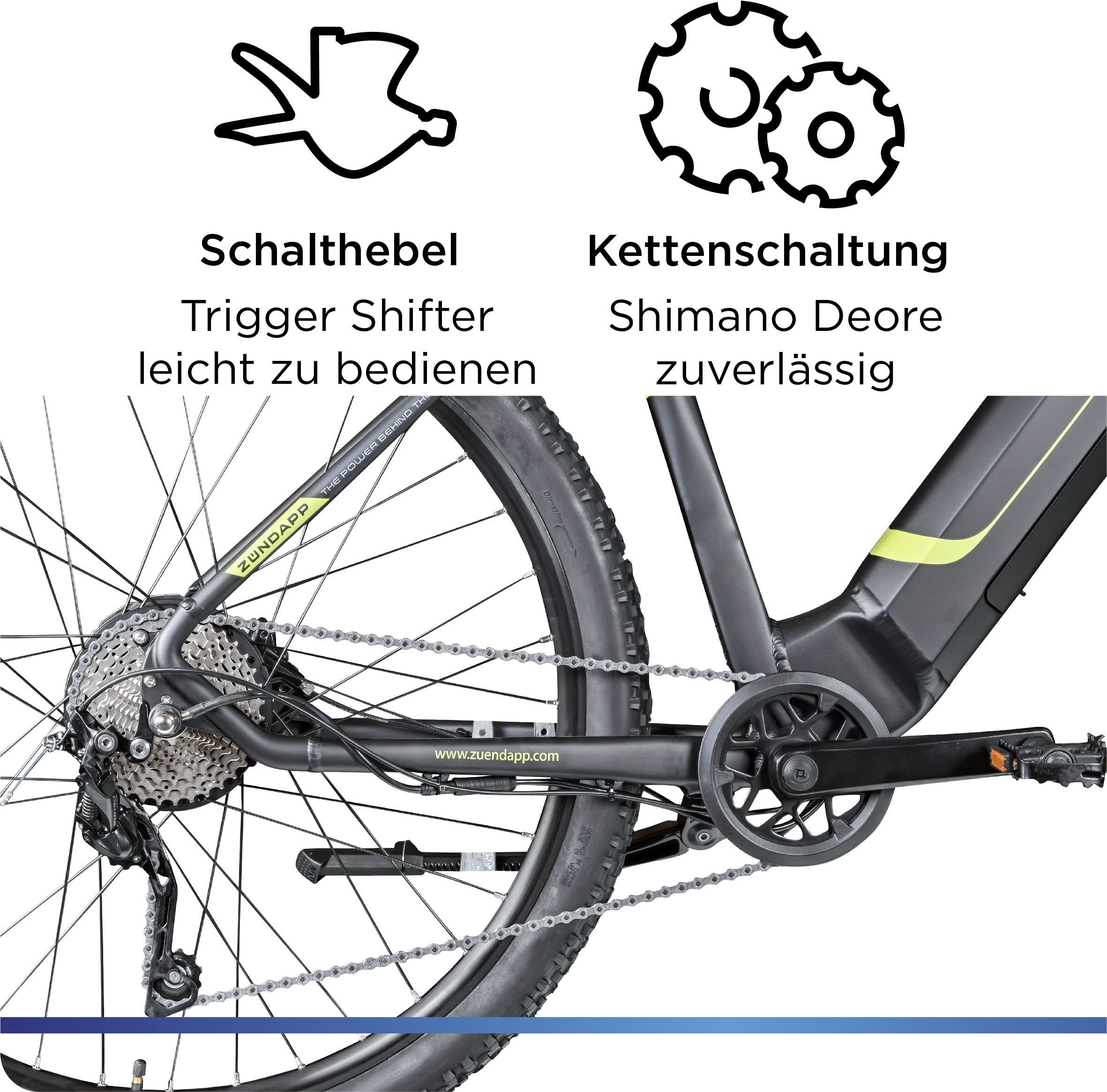 Zündapp E-Bike »Z808«, 10 Gang, Heckmotor 250 W, Pedelec, Elektrofahrrad für Damen u. Herren, MTB