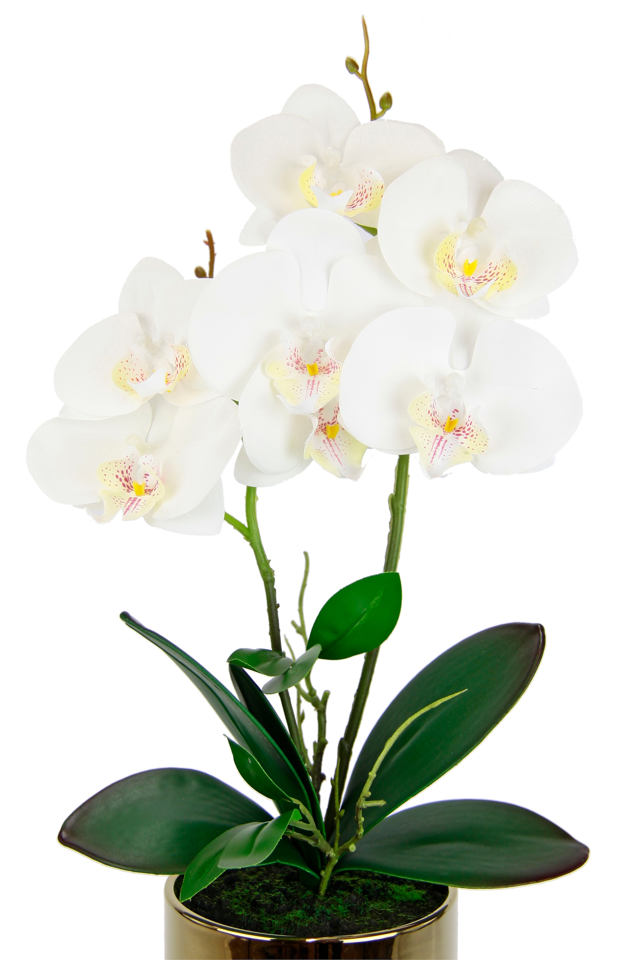 I.GE.A. Kunstblume »Orchidee«