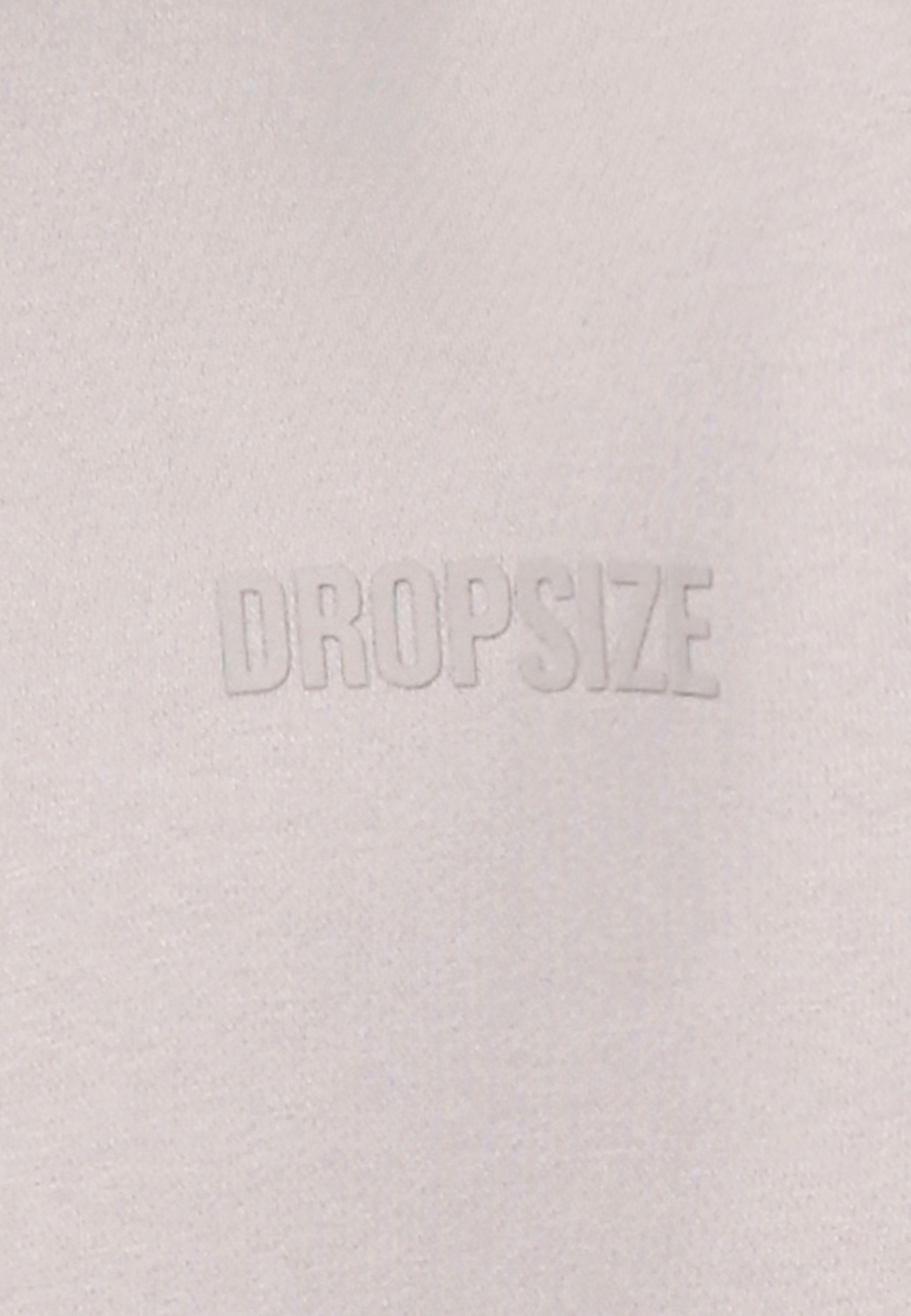 Dropsize Kapuzenpullover »Dropsize HEAVY OVERSIZE HD PRINT HOODIE« 1 Stk.