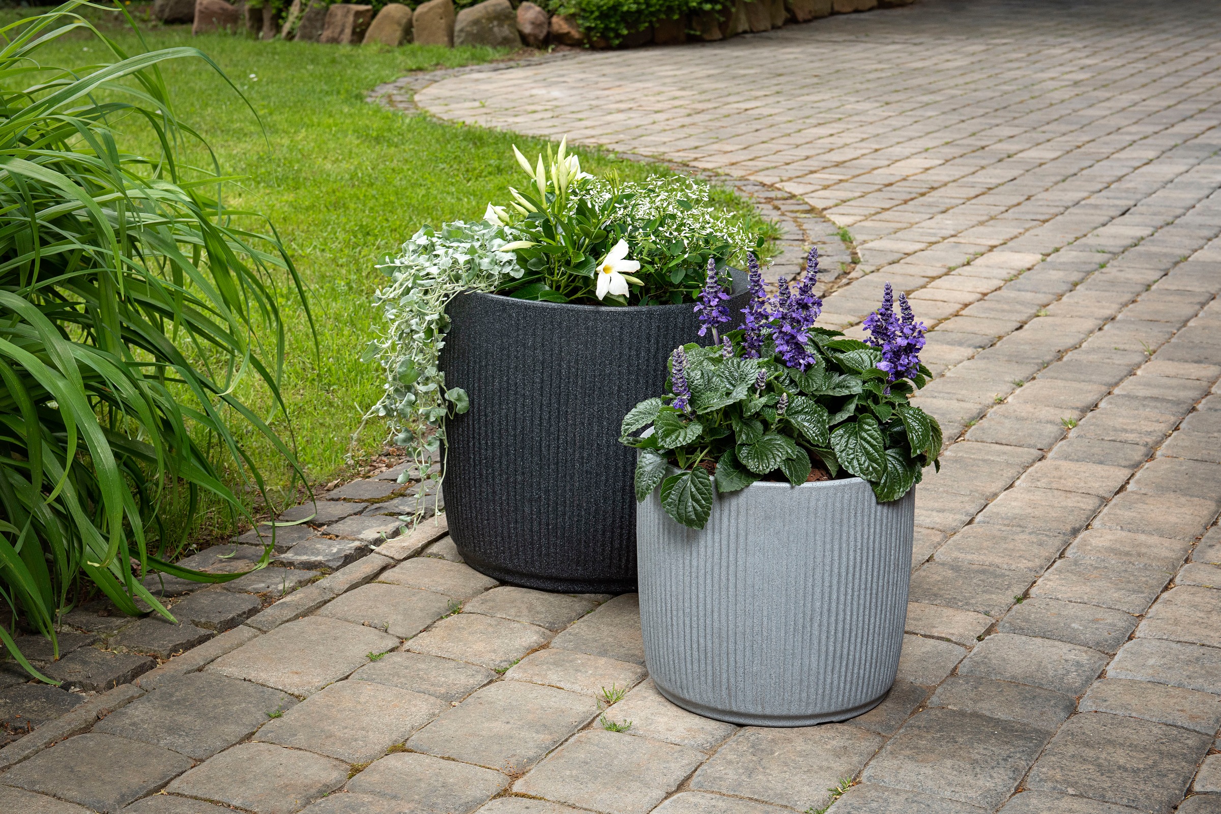 Scheurich Blumentopf »47/259 linetto«