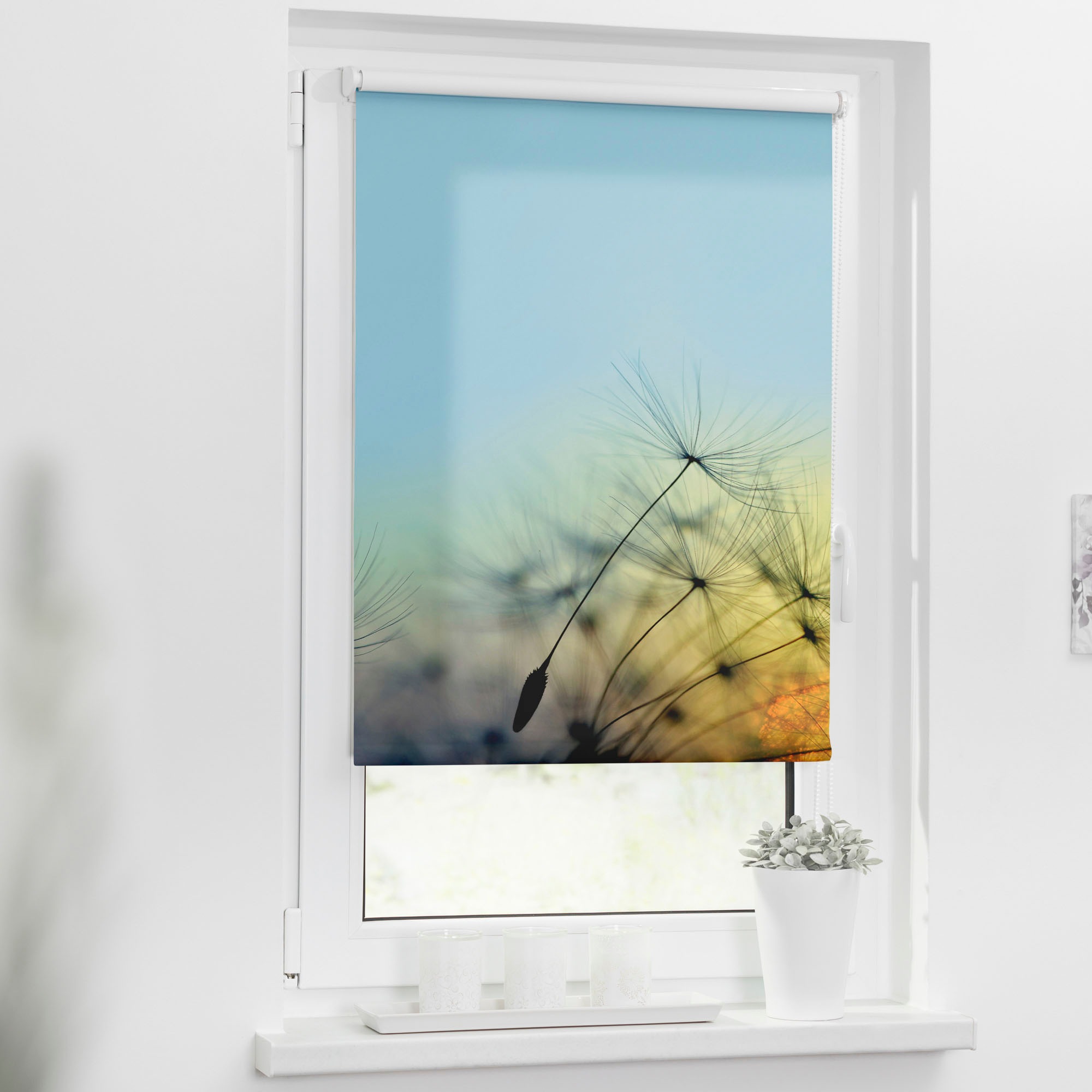 LICHTBLICK ORIGINAL Seitenzugrollo »Klemmfix Motiv Pusteblume«, Lichtschutz günstig online kaufen