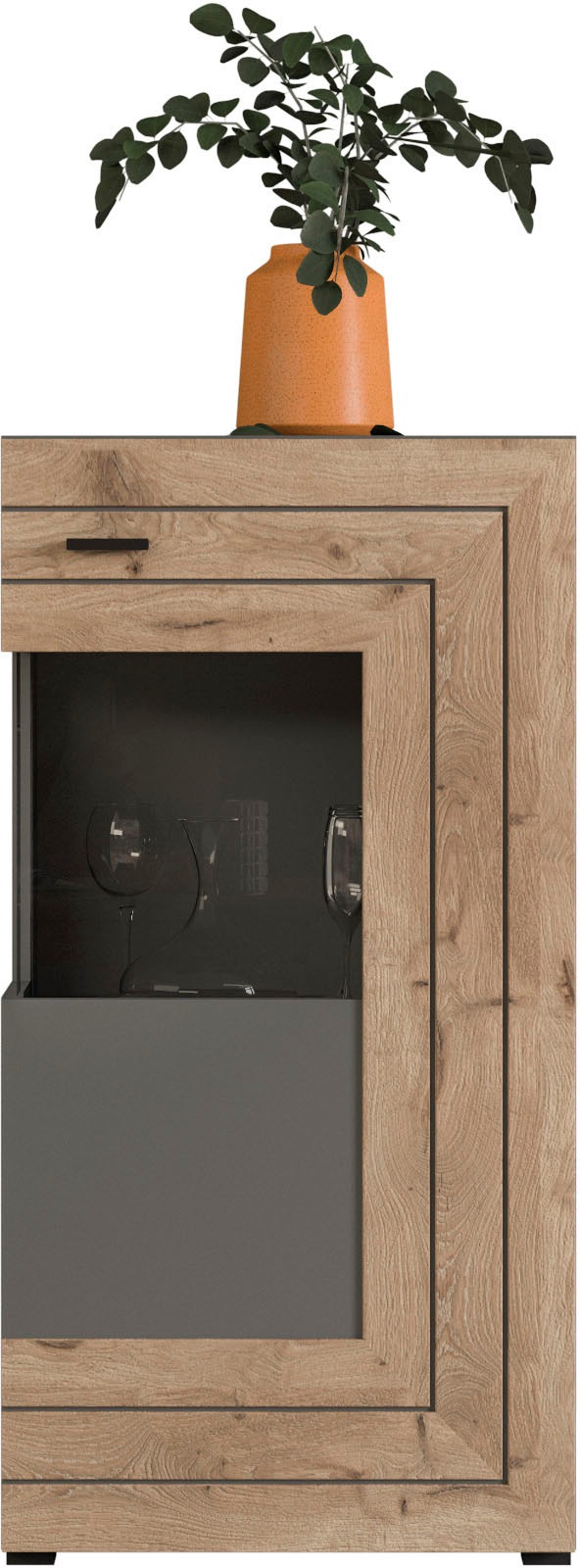 INOSIGN Vitrine »Aalborg, Höhe 118 cm, 1 Glastür, 2 Fächer, 2-farbig, Metal günstig online kaufen