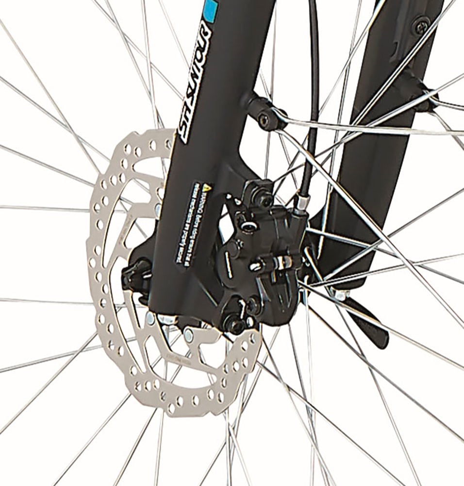 Prophete E-Bike »Entdecker 2.8«, 8 Gang, Shimano, Altus, Heckmotor 250 W, Pedelec, Elektrofahrrad für Herren