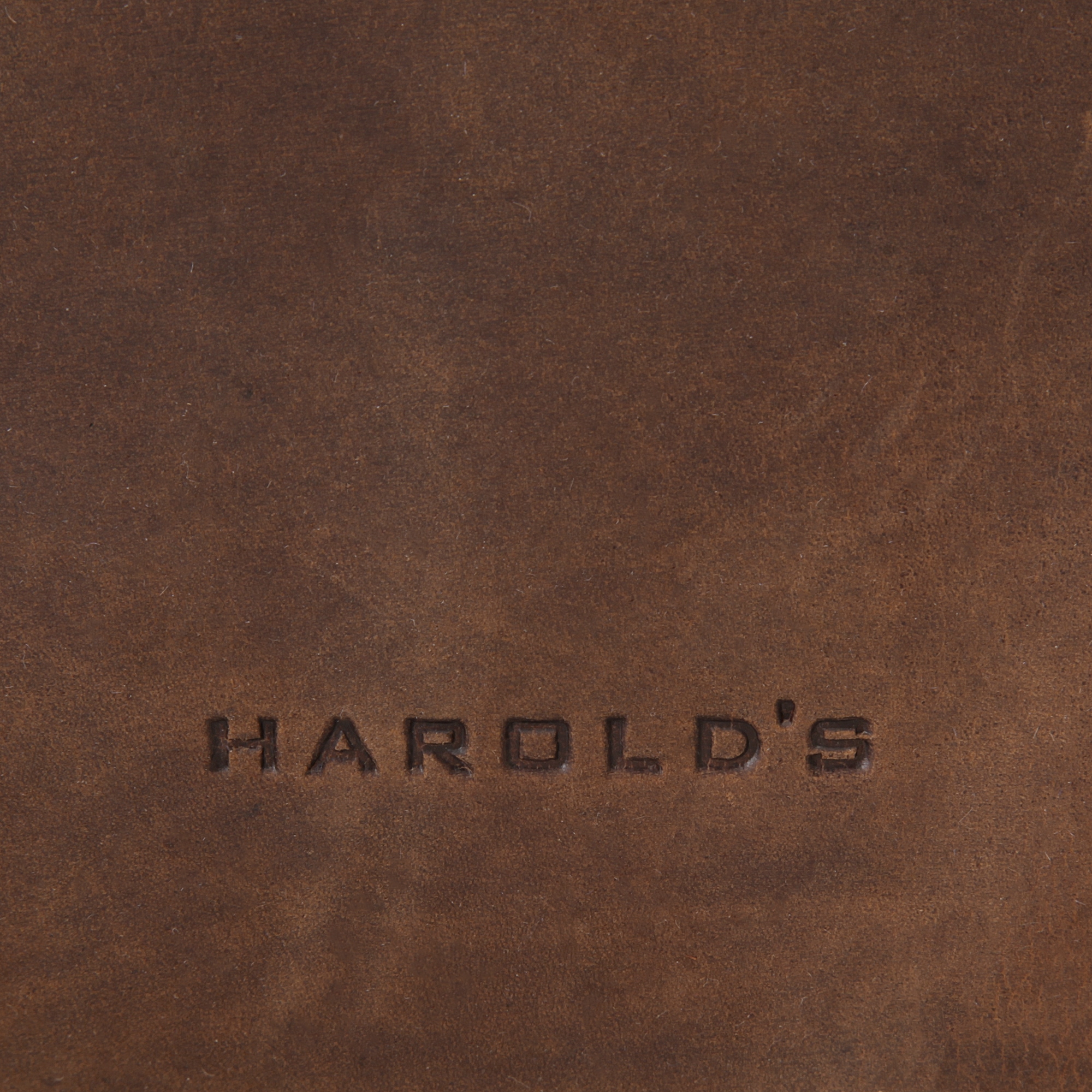 Harold's Aktentasche »ANTIC«, echt Leder