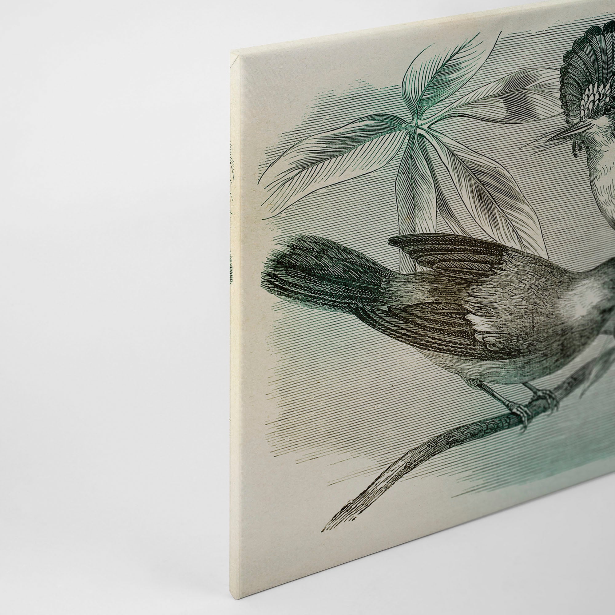 A.S. Création Leinwandbild »vintage birds«, Kunst-Gemälde-Kinder, (1 St.), Vogel Keilrahmen Bild Leinwand-Bild Wohnzimmer modern Wandbild Kinder