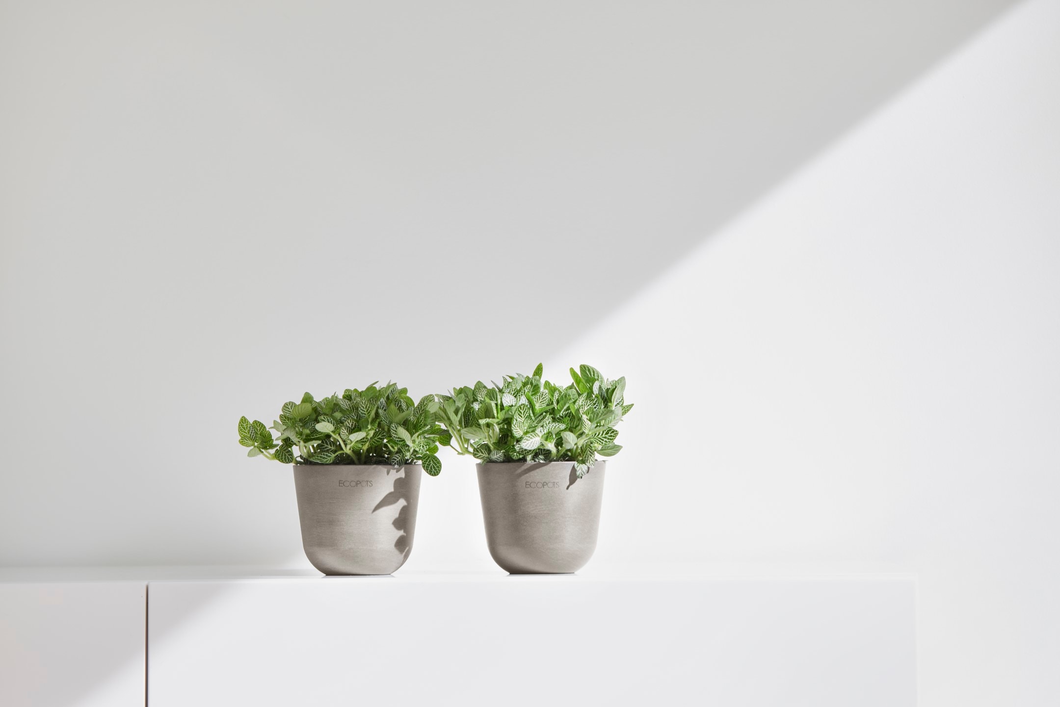 ECOPOTS Blumentopf »Oslo Mini 11,5 Taupe« für den Innenbereich