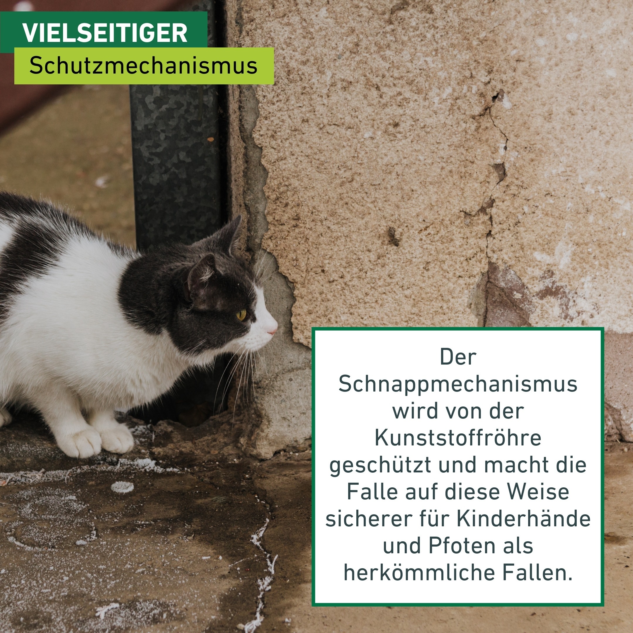 Windhager Schlagfalle »secret catch trap, Mausefalle mit sichtbarem Fangerfolg« Schädlingsbekämpfung wiederverwendbar, Mäuseköder, schwarz