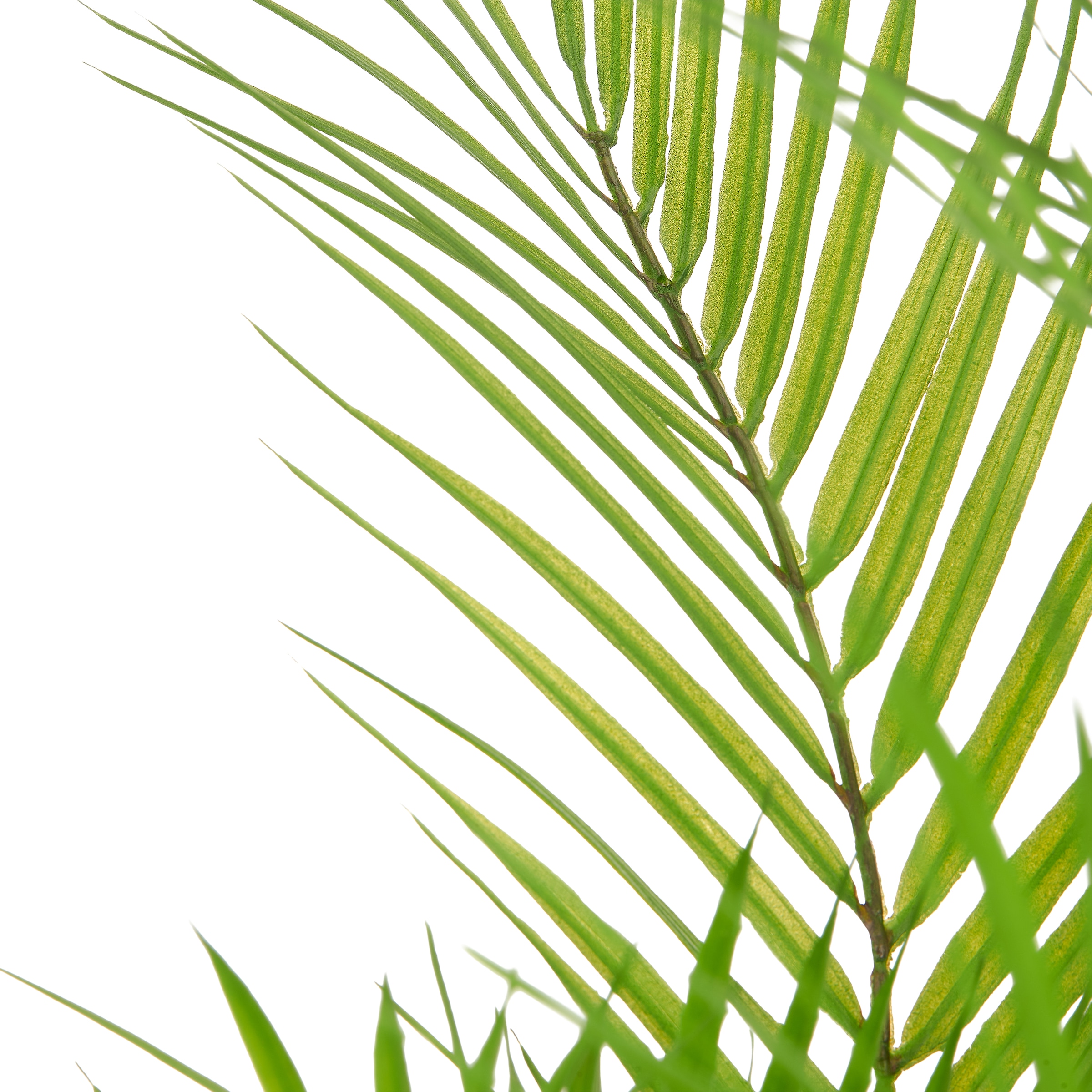 Creativ green Kunstpalme »Goldfruchtpalme« mit naturgetreuen Palmwedeln