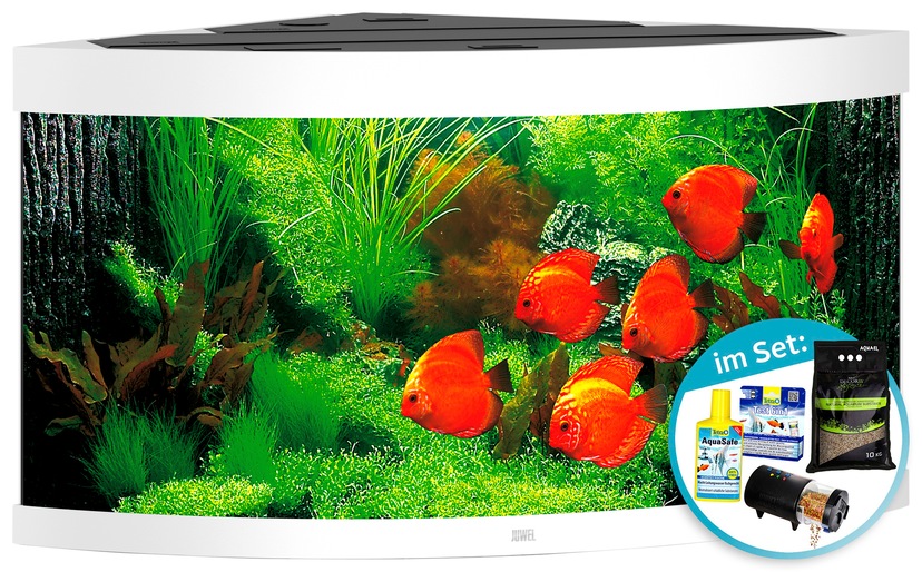 Tetra Aquariumunterschrank »AquaArt BxTxH: Explorer online LED«, cm kaufen 75,5x38,4x12