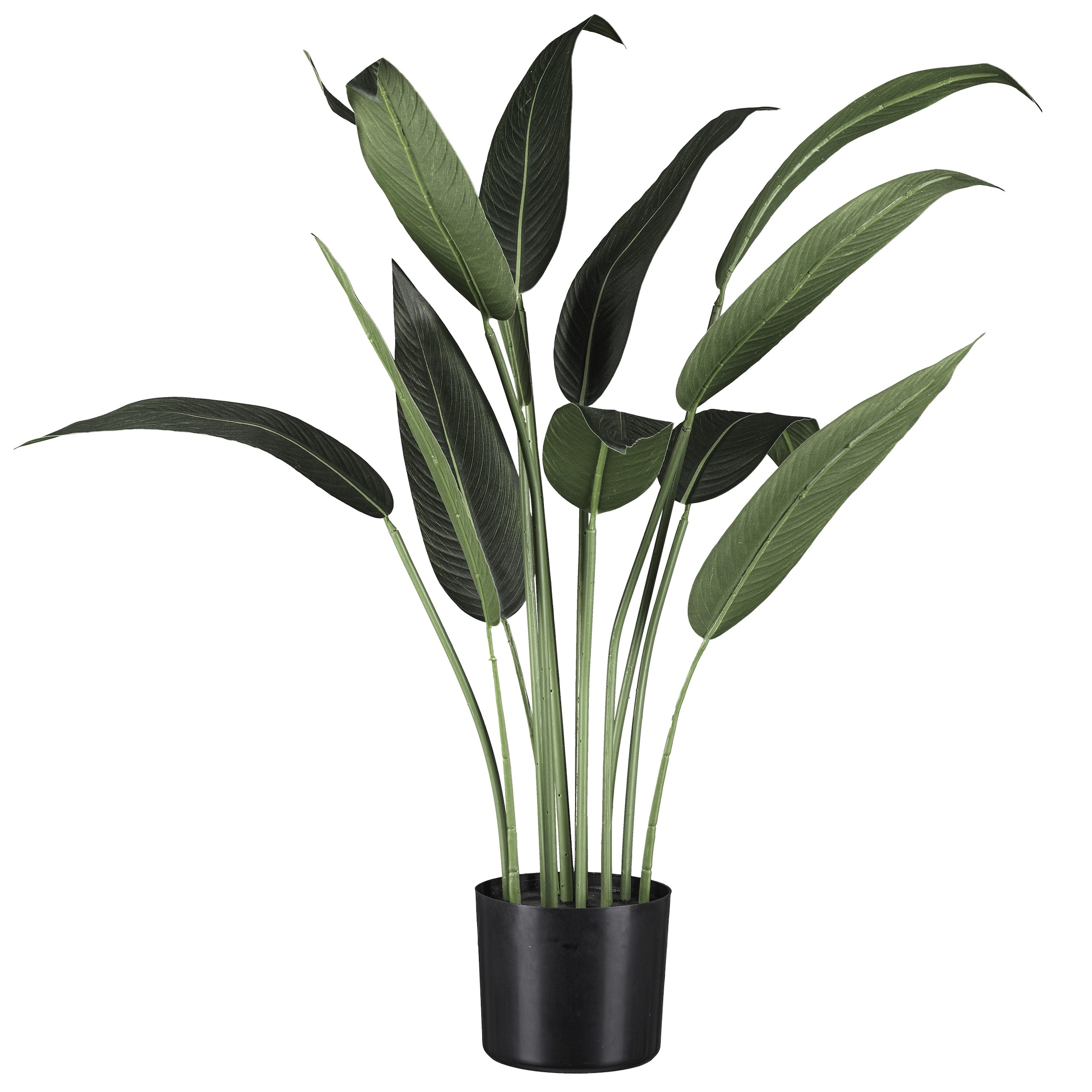 Creativ green Künstliche Zimmerpflanze »Wassercanna«, mit üppigem Blattwerk günstig online kaufen