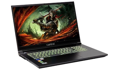 CAPTIVA Gaming-Notebook »Advanced Gaming I69-081«, (43,9 cm/17,3 Zoll), Intel, Core... kaufen
