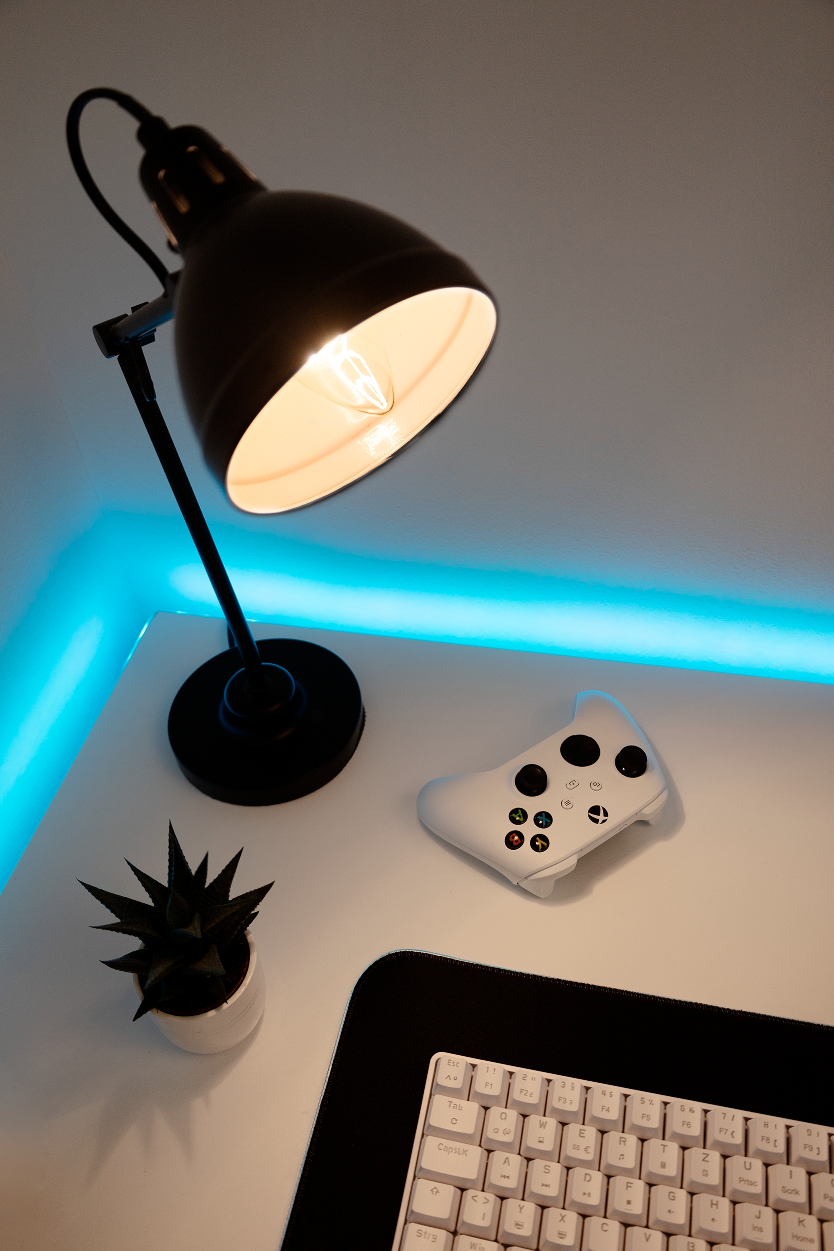 SEGULA LED-Filament »LED Kerze klar E14« E14 1 Stk. Warmweiß