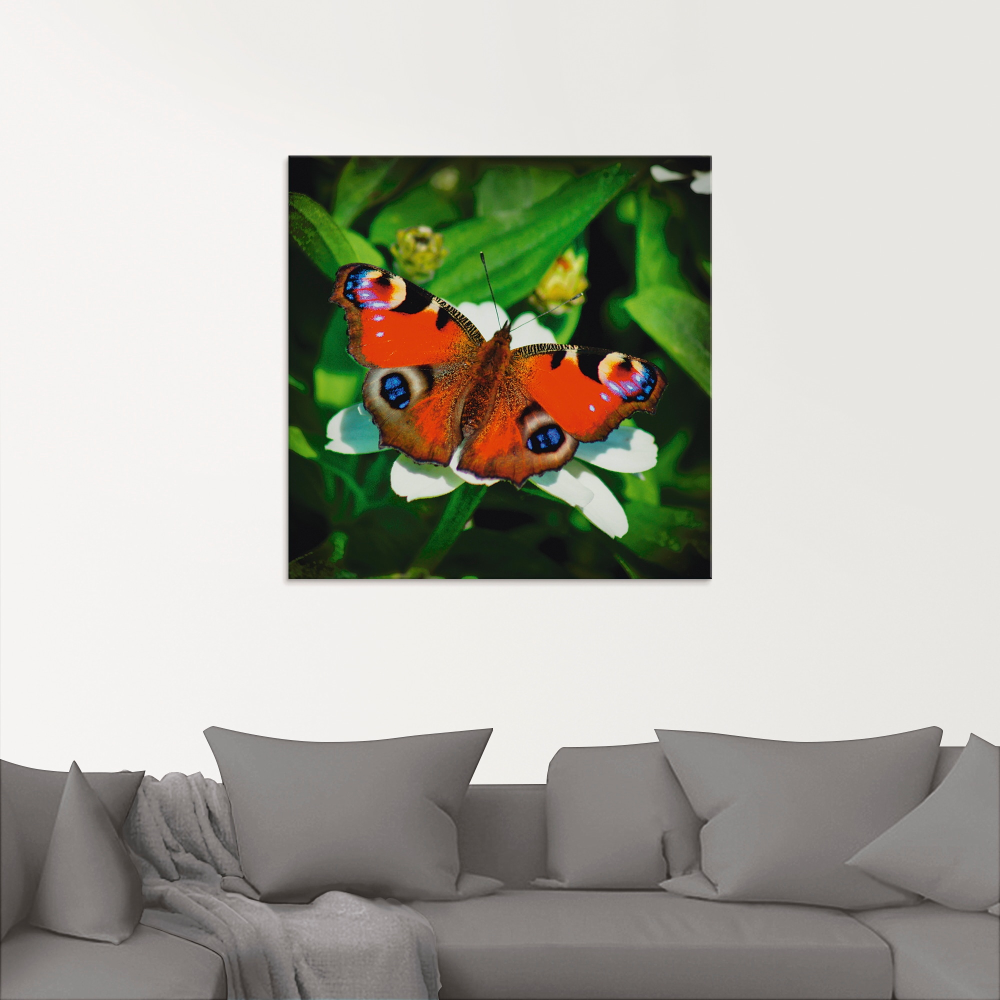 Artland Glasbild »Tagpfauenauge«, Insekten, (1 St.), in verschiedenen Größen