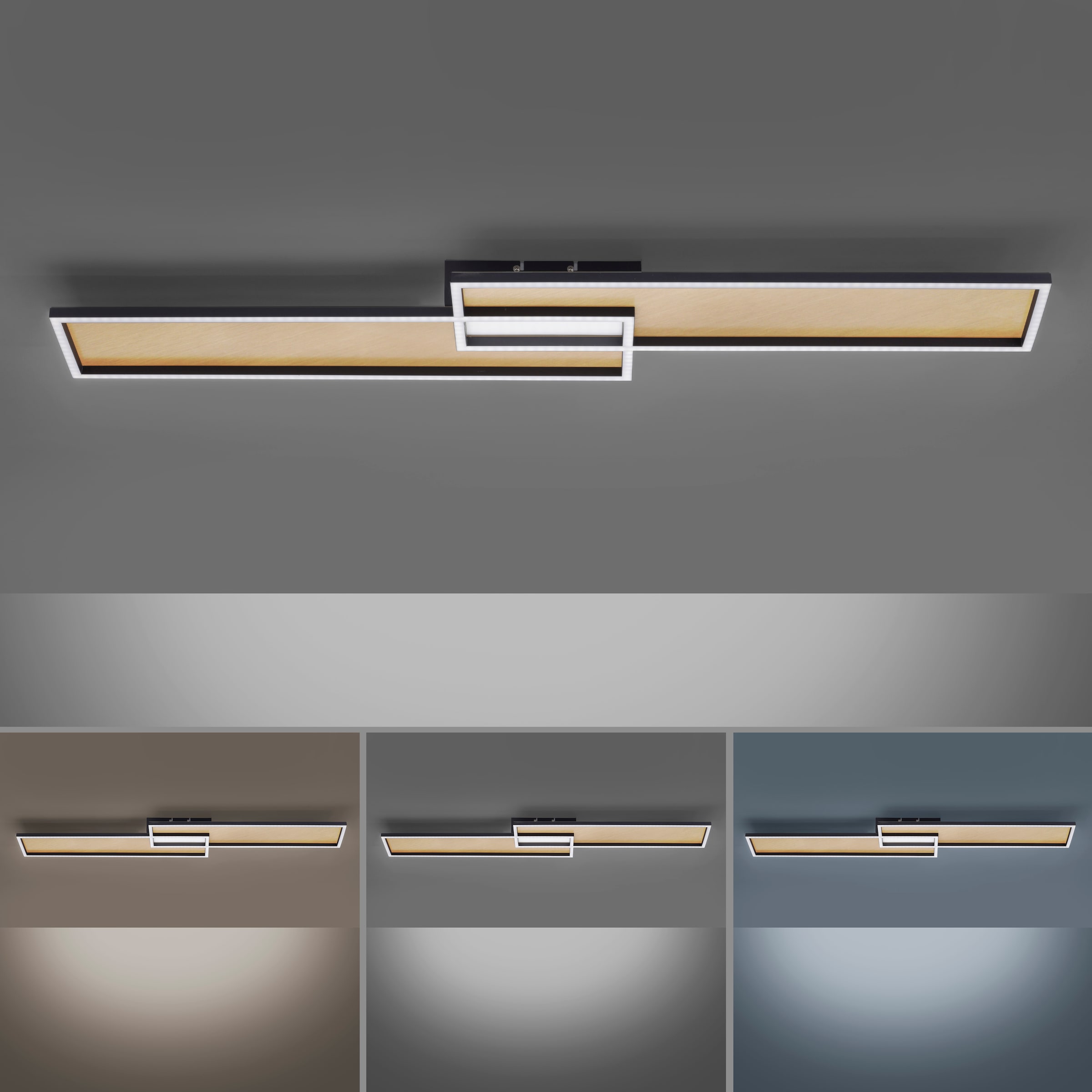 Paul Neuhaus LED Deckenleuchte »AMARA«, 1 flammig-flammig, Fernbedienung, Infrarot  inkl. auf Rechnung kaufen