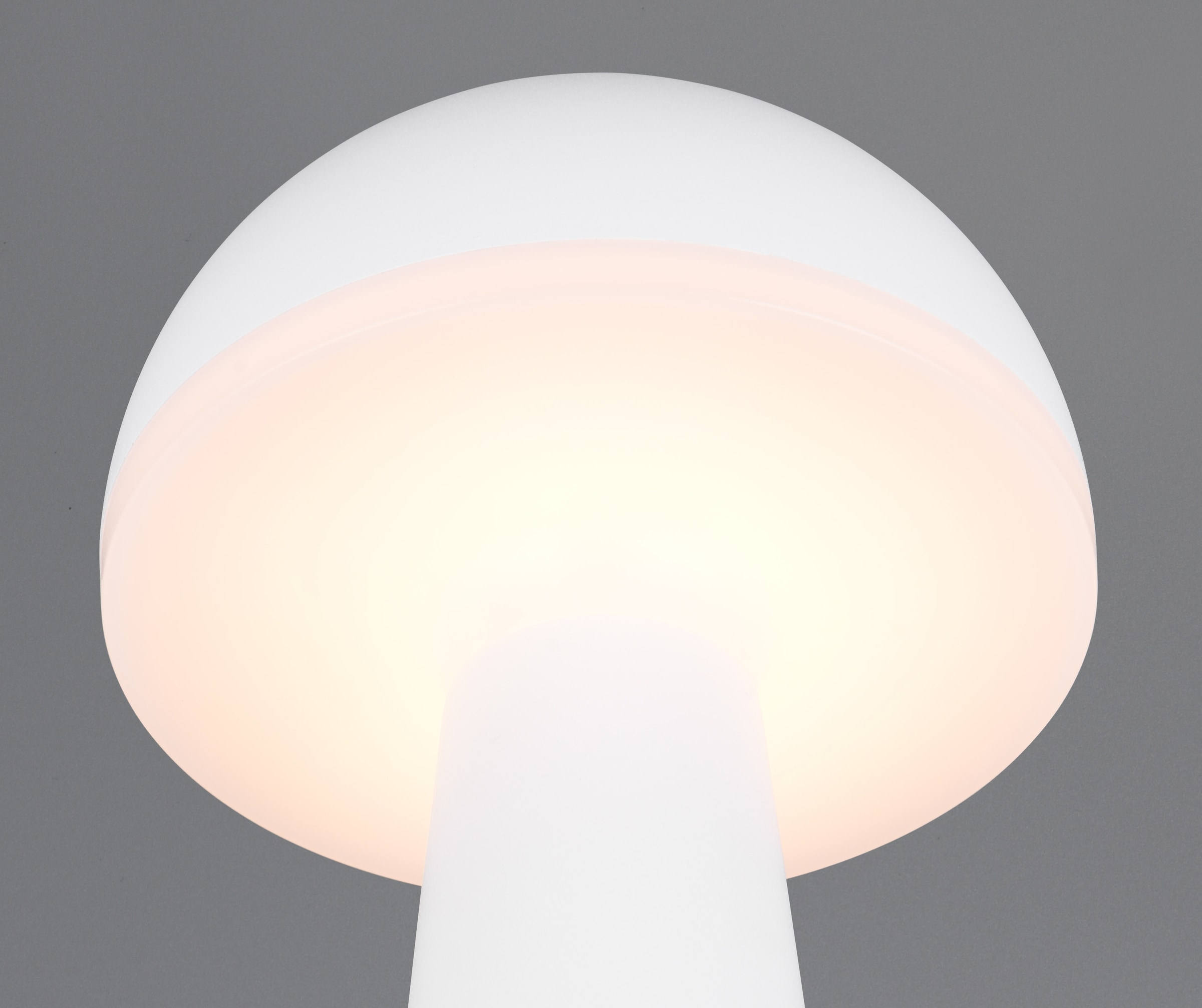 REALITY Leuchten LED Außen-Tischleuchte »FUNGO«, 1 flammig, Leuchtmittel LED-Board | LED fest integriert, Outdoor Akku Tischlampe inkl Ladestation USB-C, Lichtfarbe einstellbar