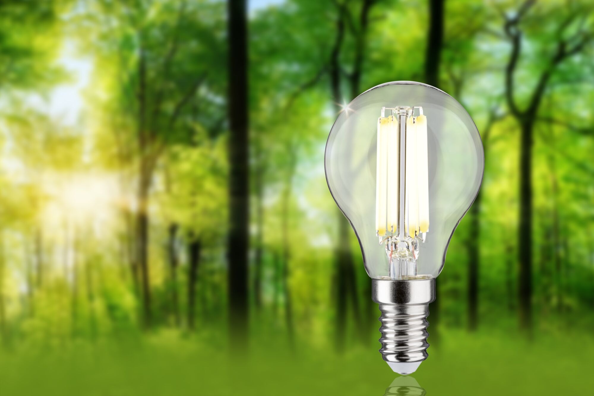 Paulmann LED-Leuchtmittel »Eco-Line Filament 230V LED Tropfen E14 1er-Set 5 günstig online kaufen