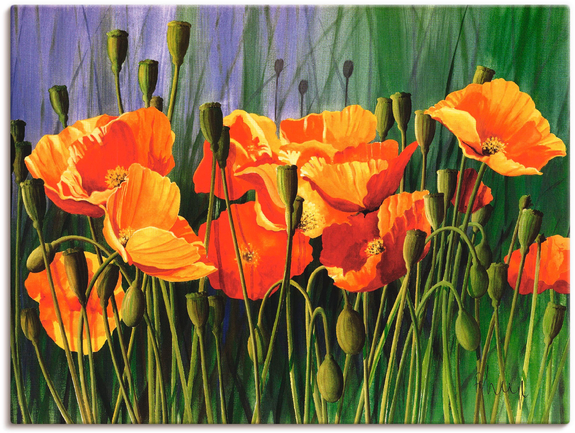 Artland Leinwandbild »Mohnblumen I«, Blumen, (1 St.), auf Keilrahmen gespan günstig online kaufen