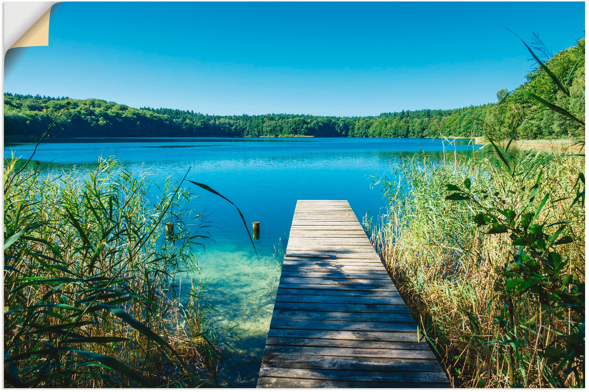 Artland Wandbild »Landschaft am See Steg«, Gewässer, (1 St.), als Poster, W günstig online kaufen