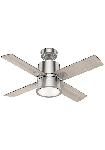 Deckenventilator »Beck, 107 cm Gebürstetes Nickel«