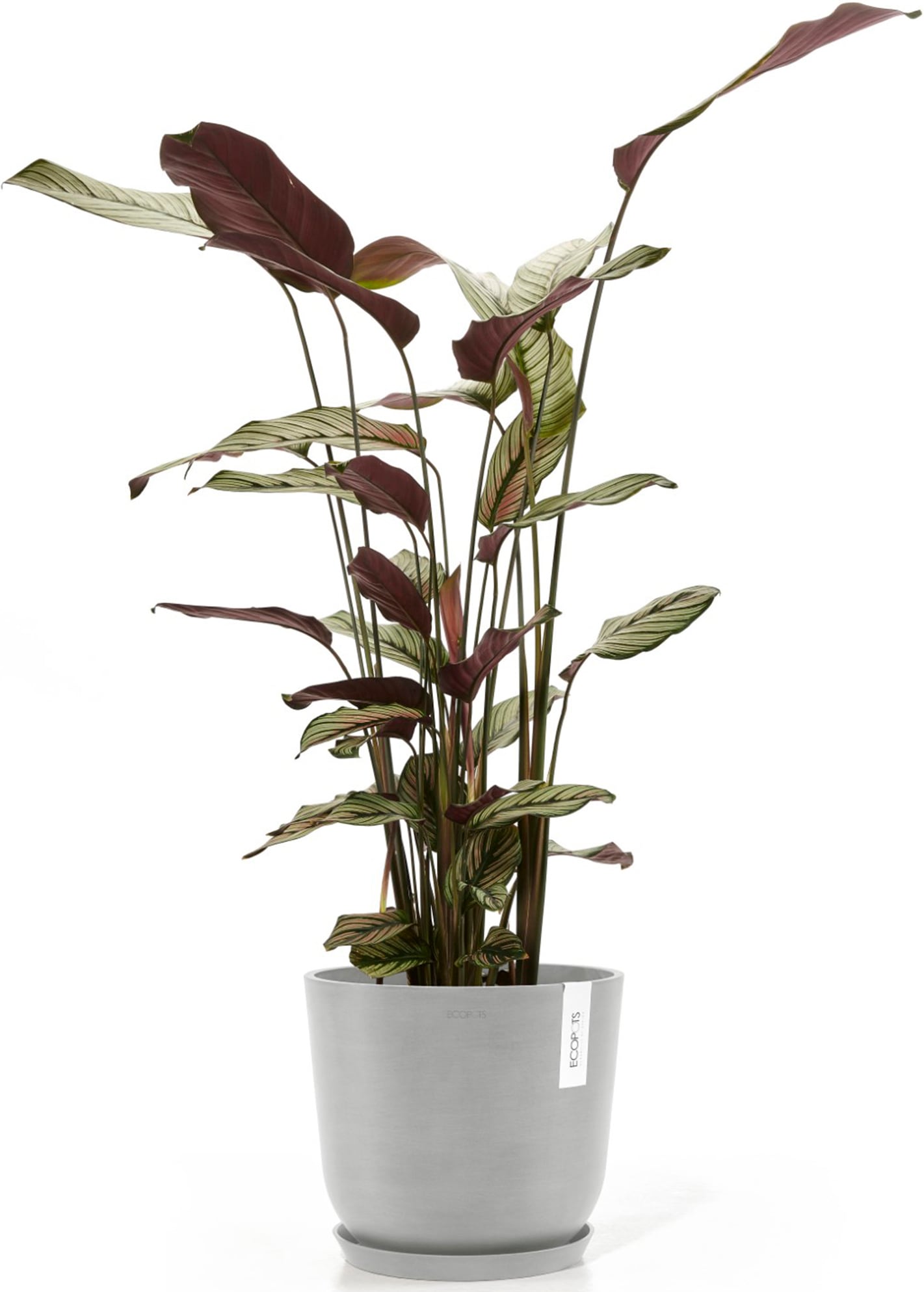 ECOPOTS Blumentopf »Oslo 25 + Wassersystem Weißgrau«, für innen und außen: frostsicher, bruchsicher und lichtbeständig
