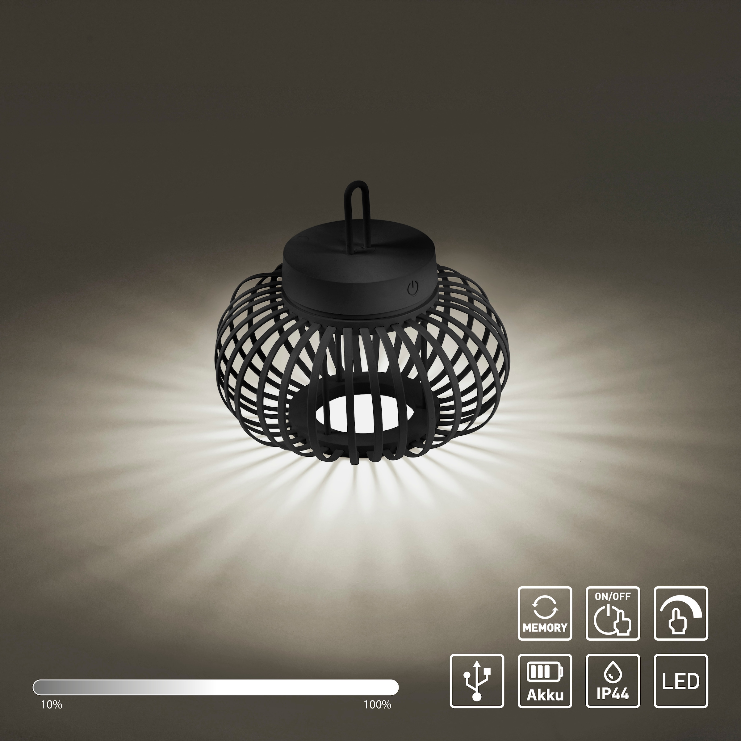 JUST LIGHT Pendelleuchte »AKUBA«, 1 flammig, Leuchtmittel LED-Modul | LED fest integriert, Akkuleuchte