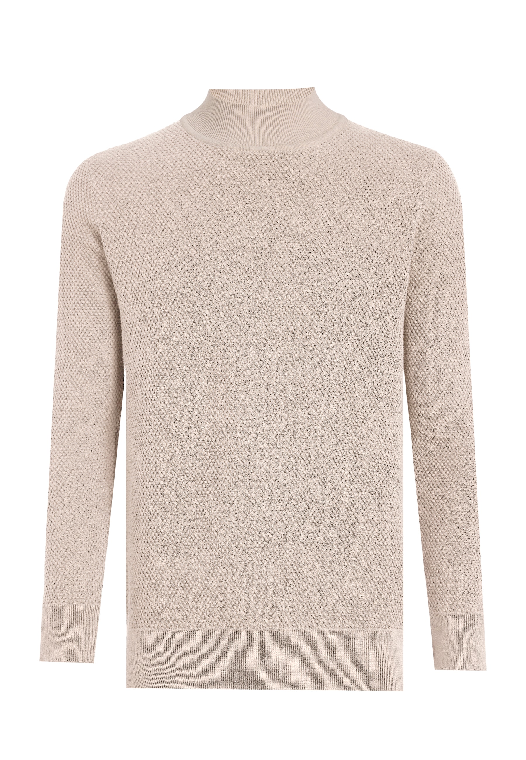 Felix Hardy Rollkragenpullover »Rollkragenpullover«