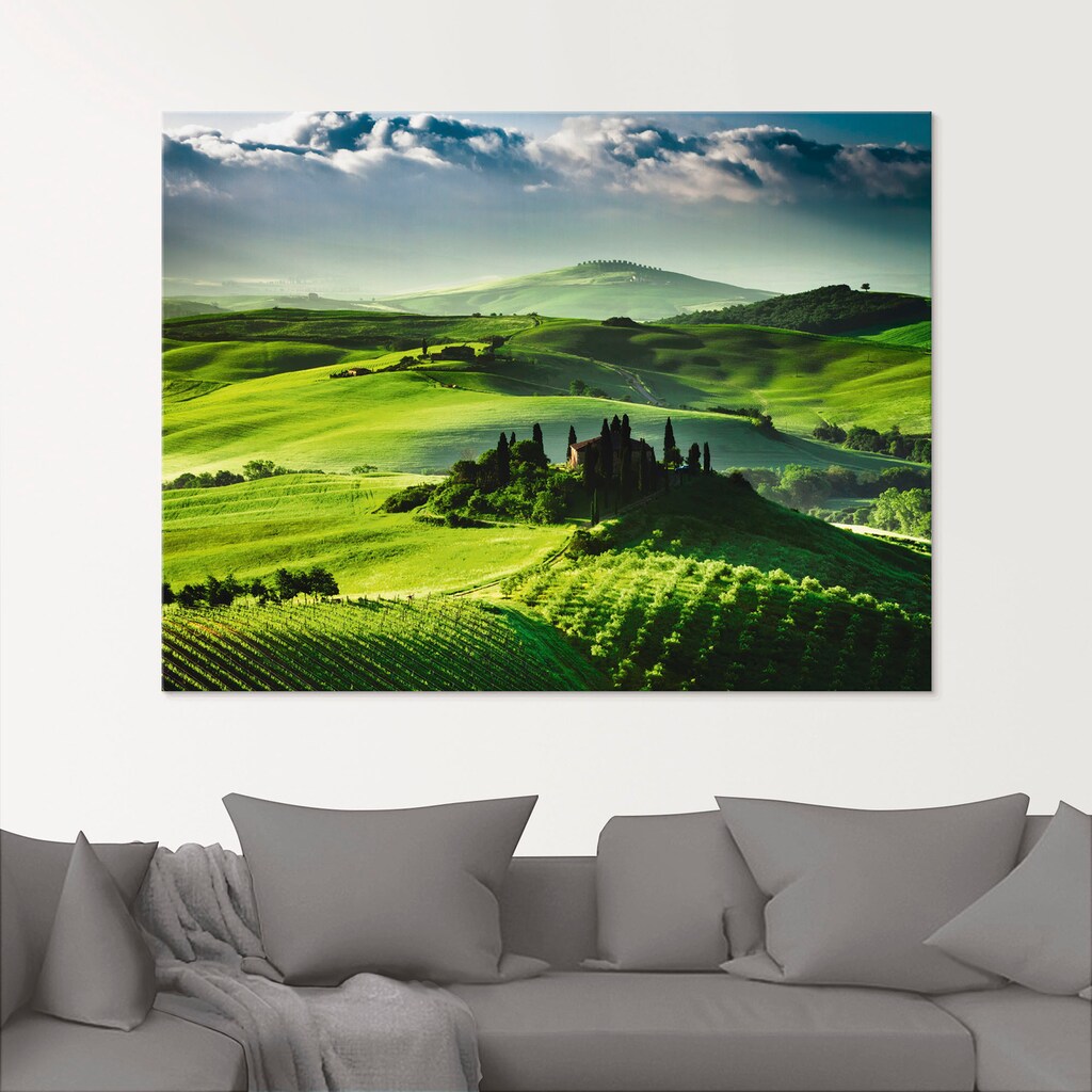 Artland Glasbild »Sonnenaufgang über einer Olivenfarm«, Felder, (1 St.)