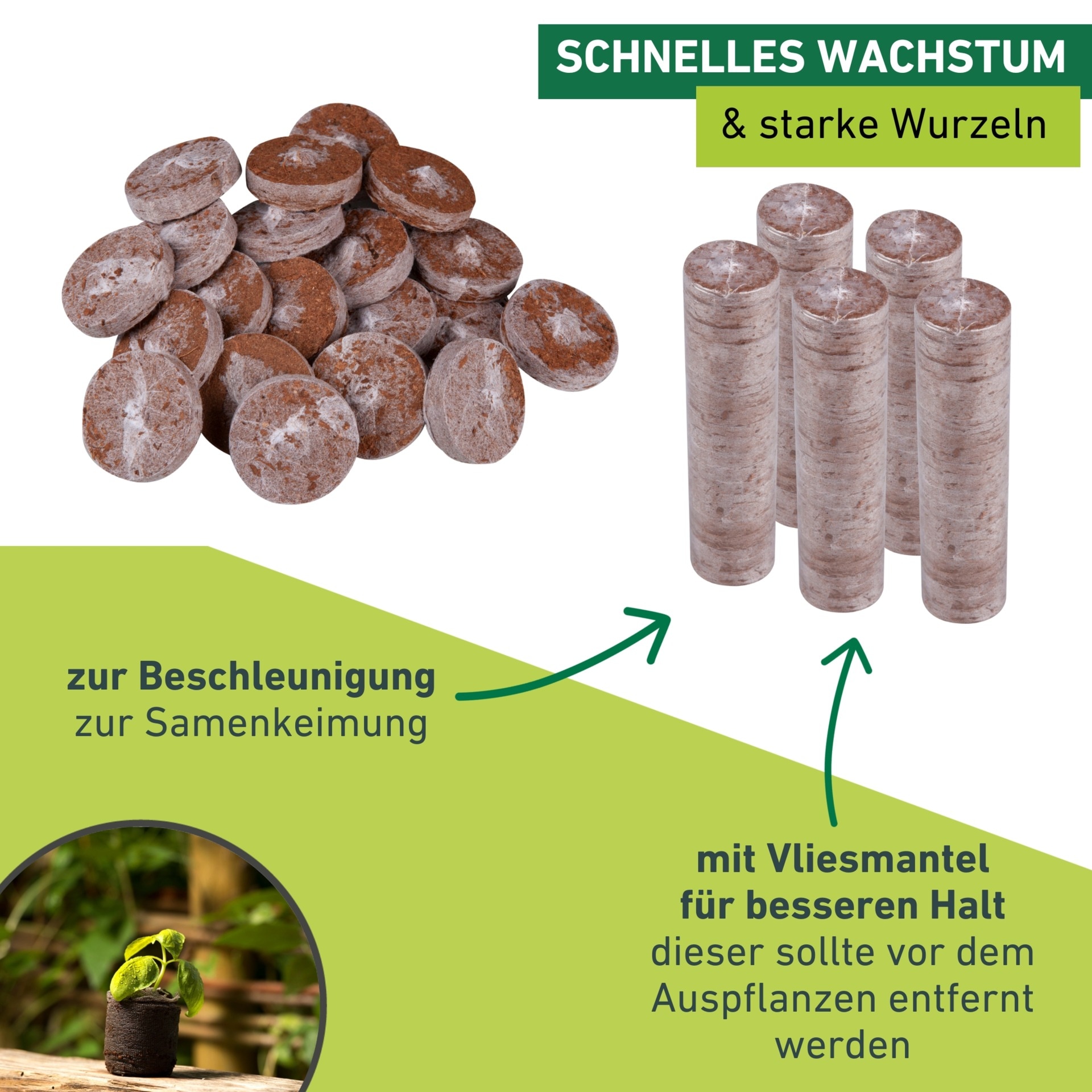 Windhager Anzucht- und Kräutererde »Quelltabs 50 Stk. aus natürlichem Kokos« Anzucht Quelltabs torffrei mit feinmaschigem Netz, 3,5 cm